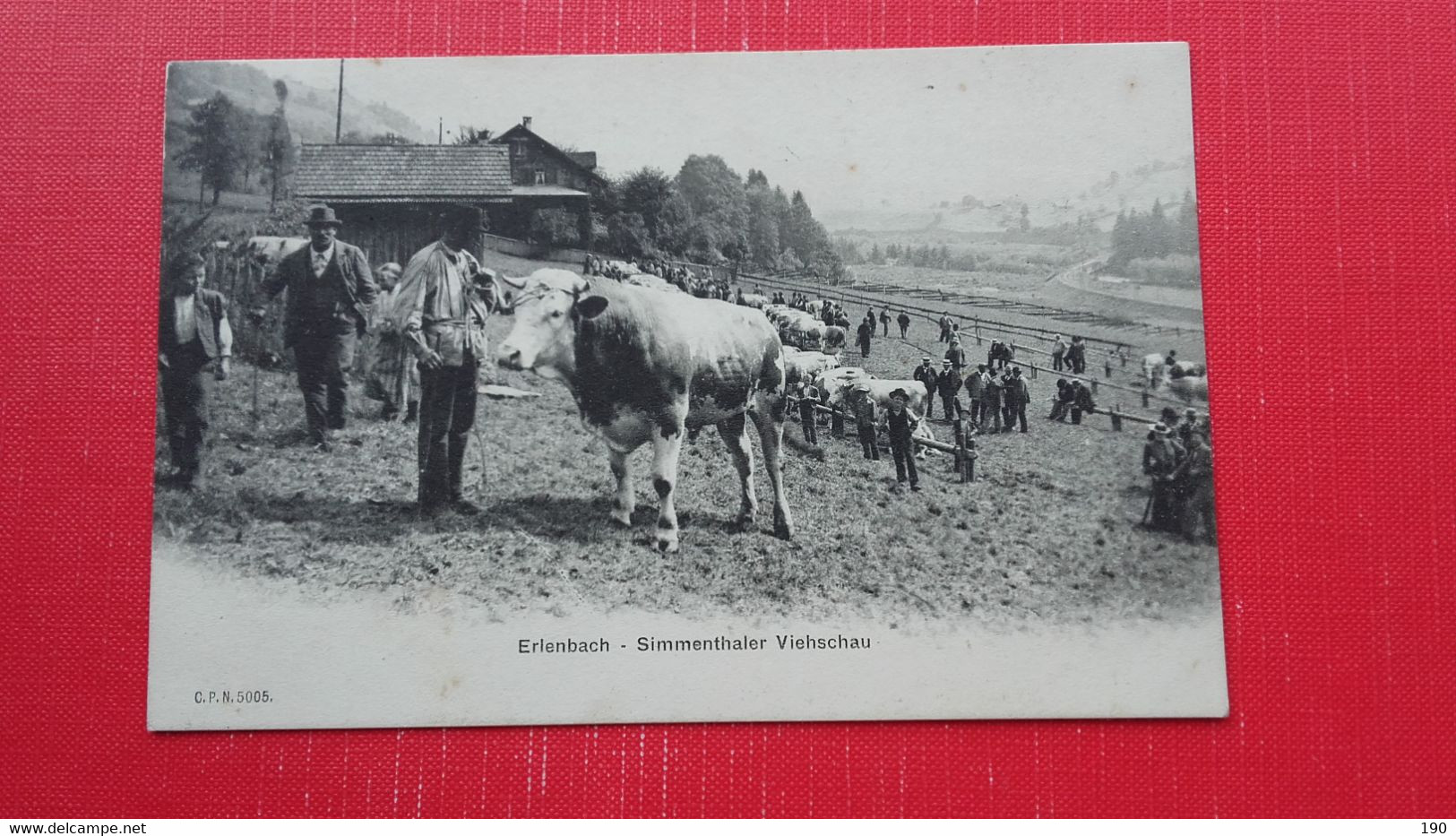 Erlenbach.Simmenthaler Viehschau - Erlenbach Im Simmental