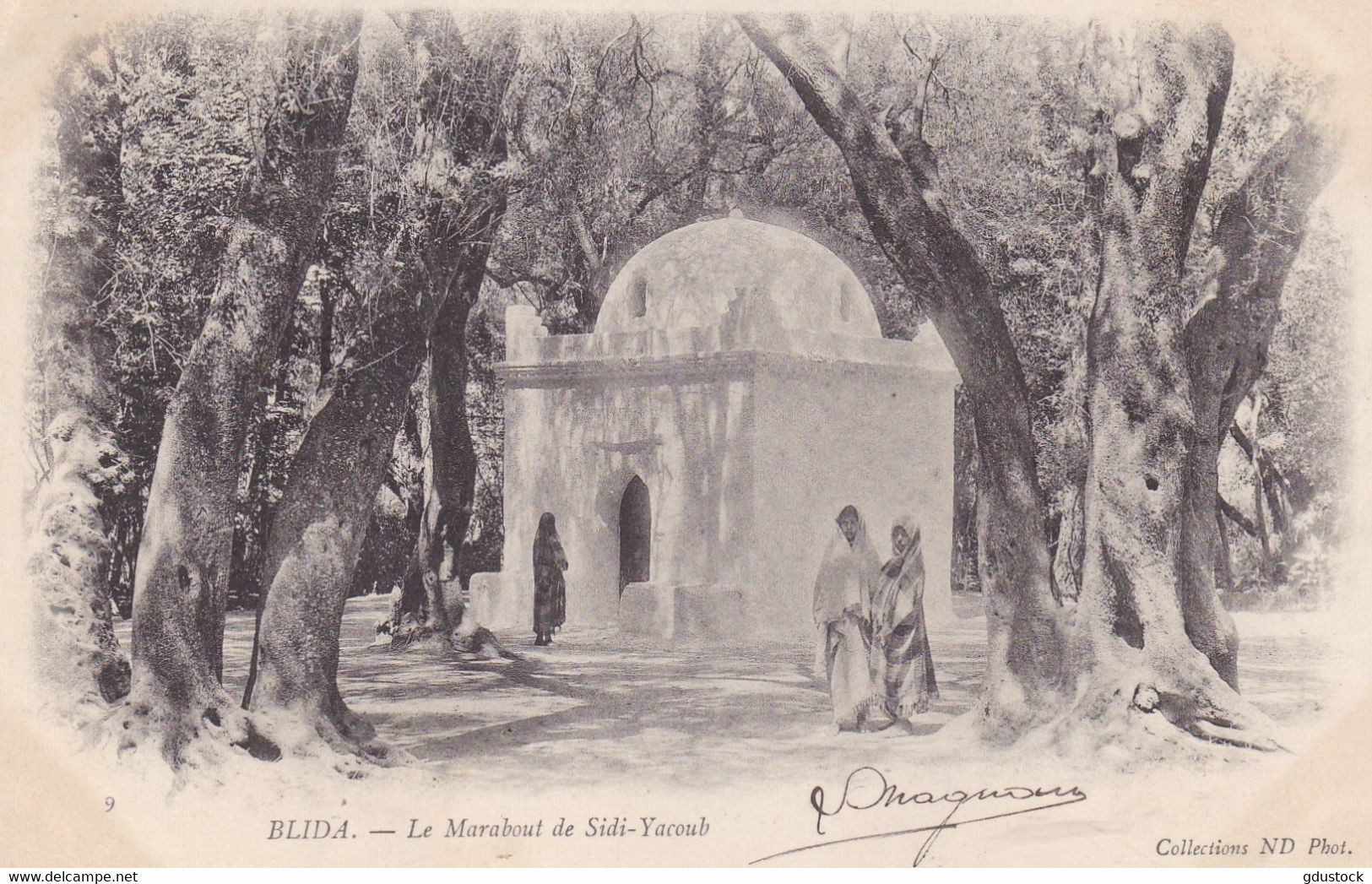 Algérie - Blida - Le Marabout De Sidi-Yacoub - Blida