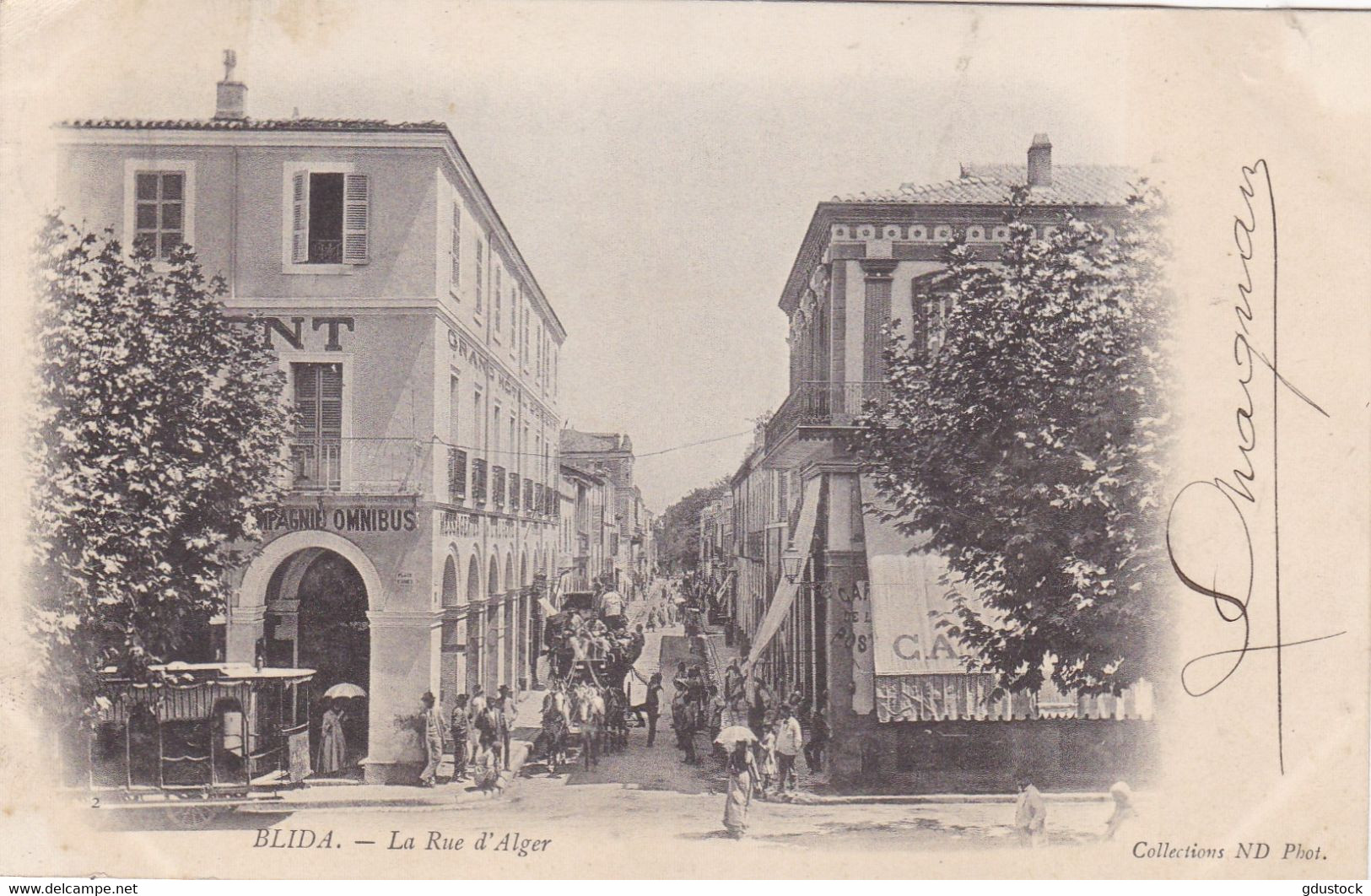 Algérie - Blida - La Rue D'Alger - Blida