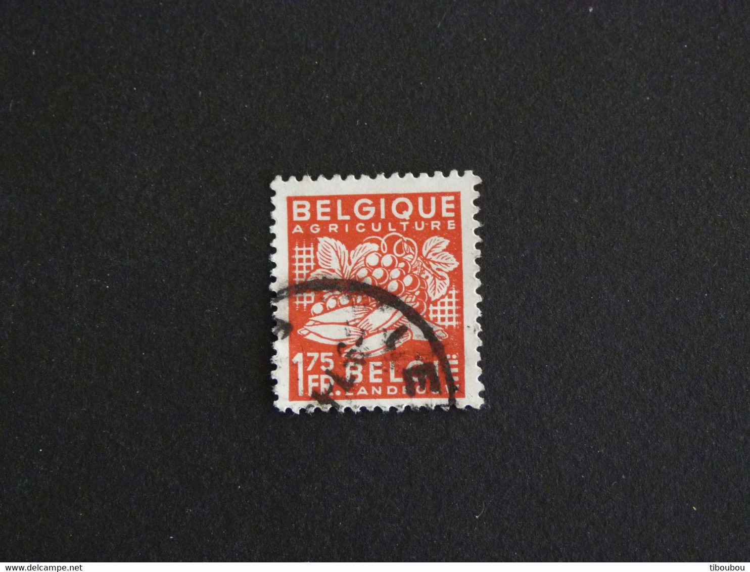 BELGIQUE BELGIE BELGIUM YT 764 OBLITERE - EXPORTATION PRODUITS AGRICOLES - 1948 Export