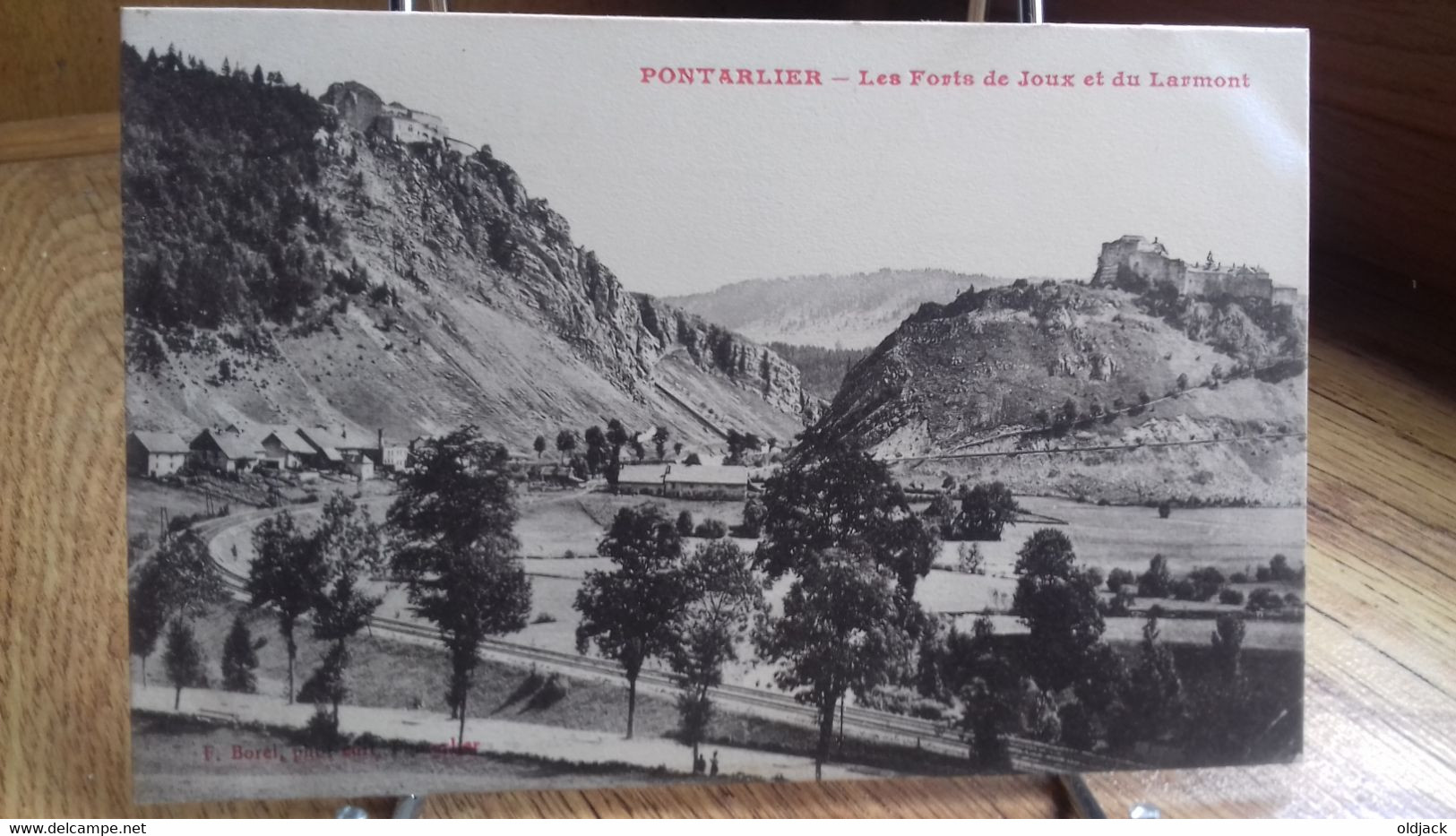 CPA -  PONTARLIER  - Les Forts De Joux Et Du Larmont  (19..). ... (S25-22) - Pontarlier