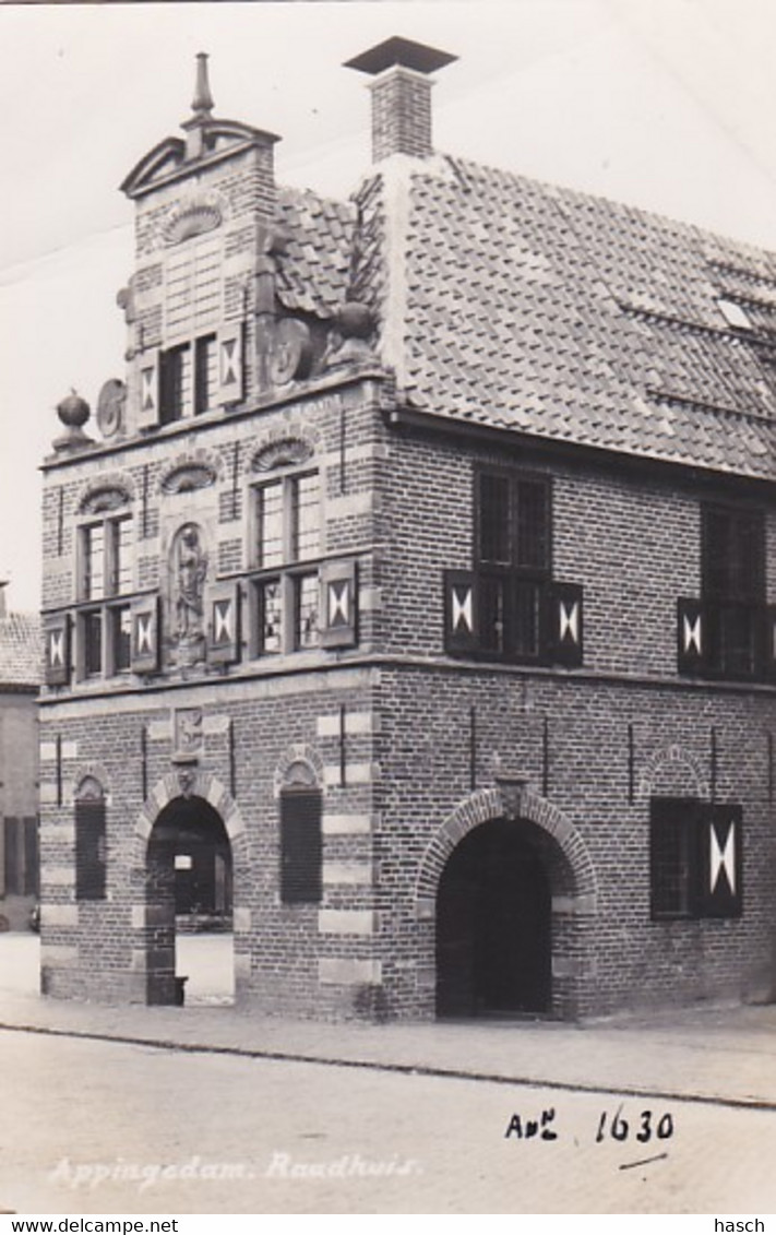 484713Appingedam, Raadhuis, (FOTOKAART)(diverse Vouwen Zie Achterkant) - Appingedam