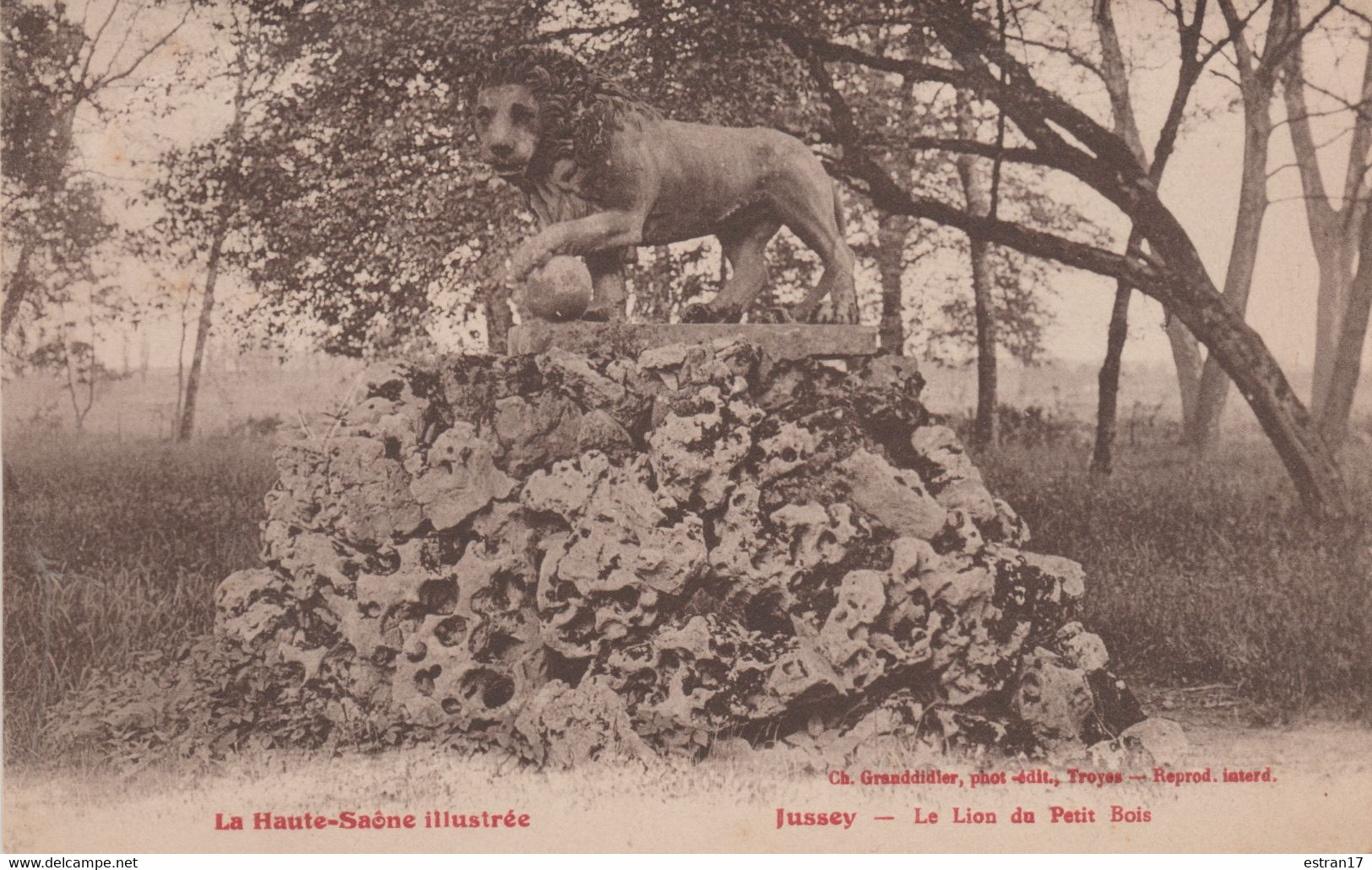 70 JUSSEY LE LION DU PETIT BOIS - Jussey