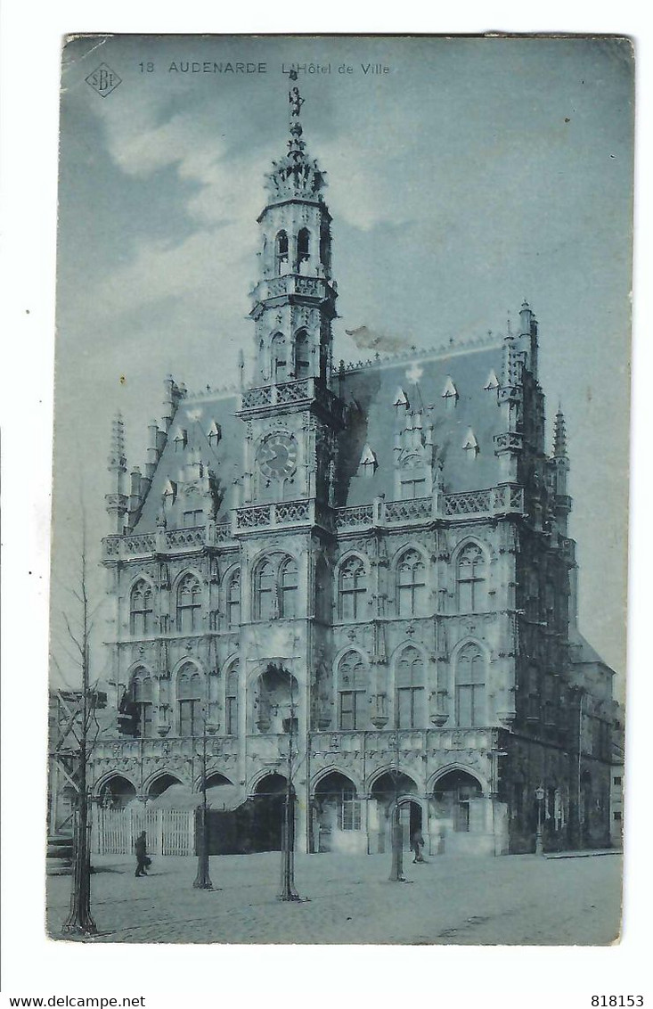 Oudenaarde 18 AUDENARDE  L'Hôtel De Ville SBP 1907 - Oudenaarde