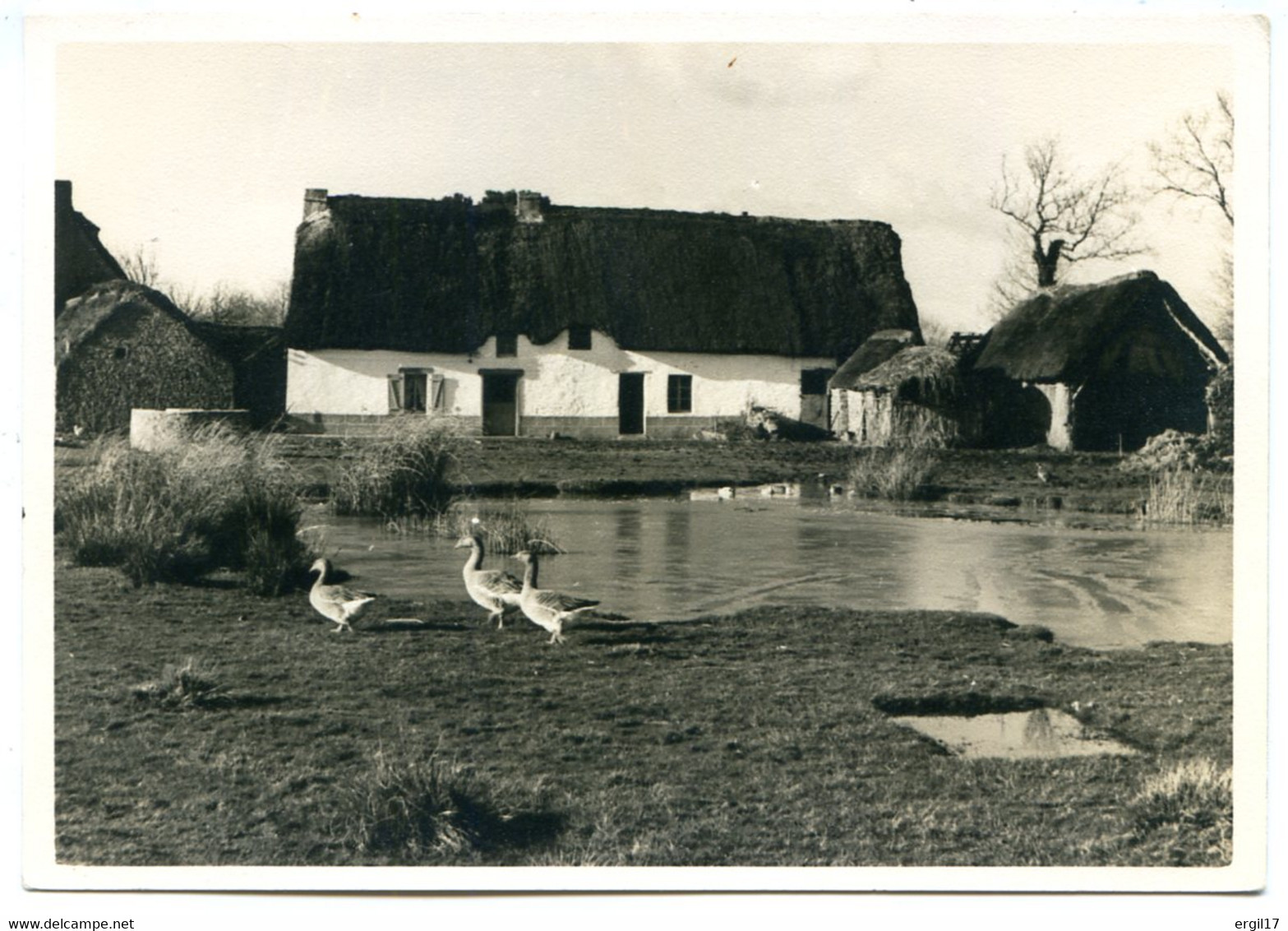 44410 Près De Guérande - SAINT-LYPHARD - Lot De 2 CPM - Voir Détails Dans La Description - Saint-Lyphard