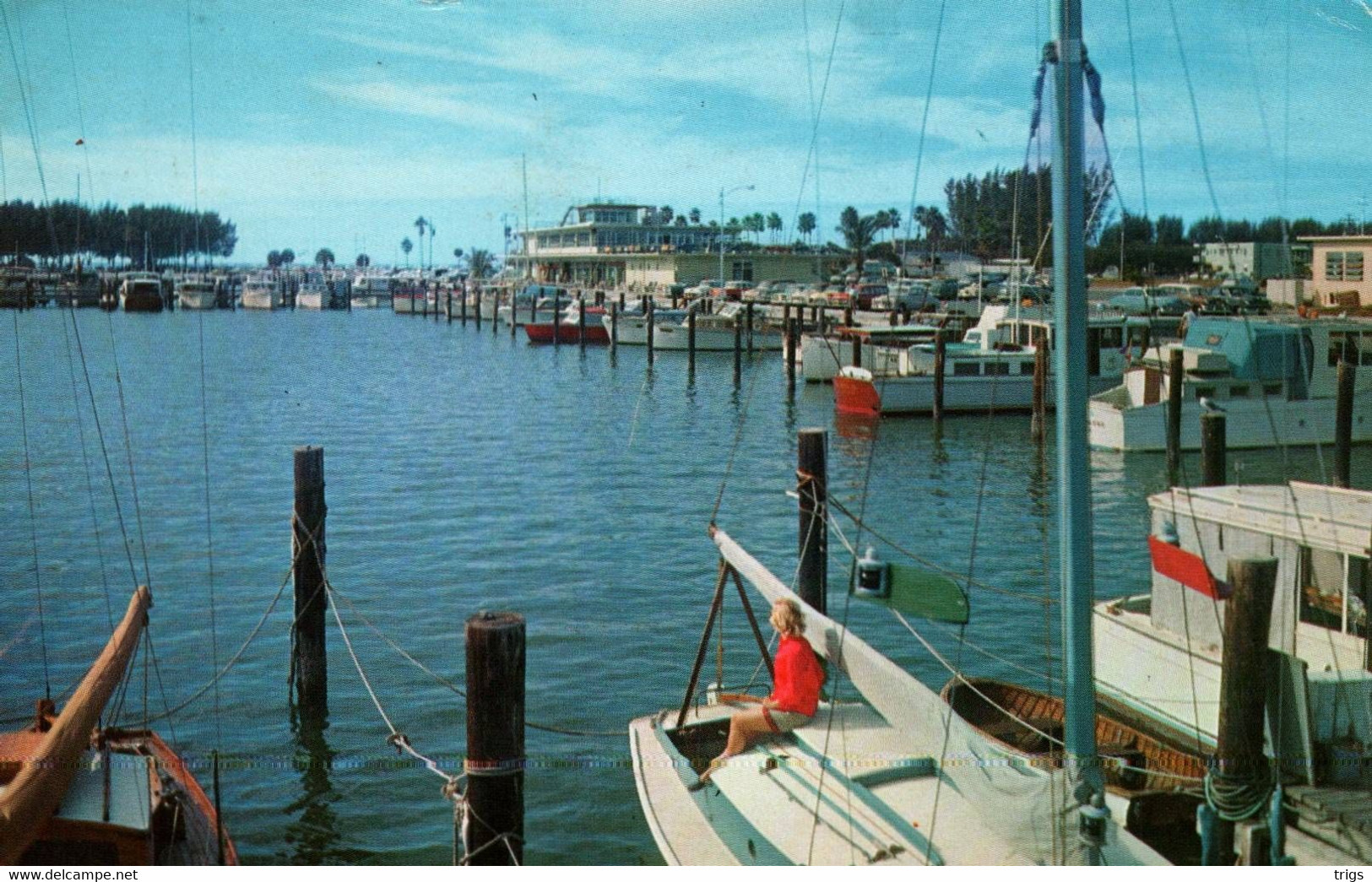 Clearwater (Beach) - Playgrounds And Parks Around The Beautiful Marina - Clearwater