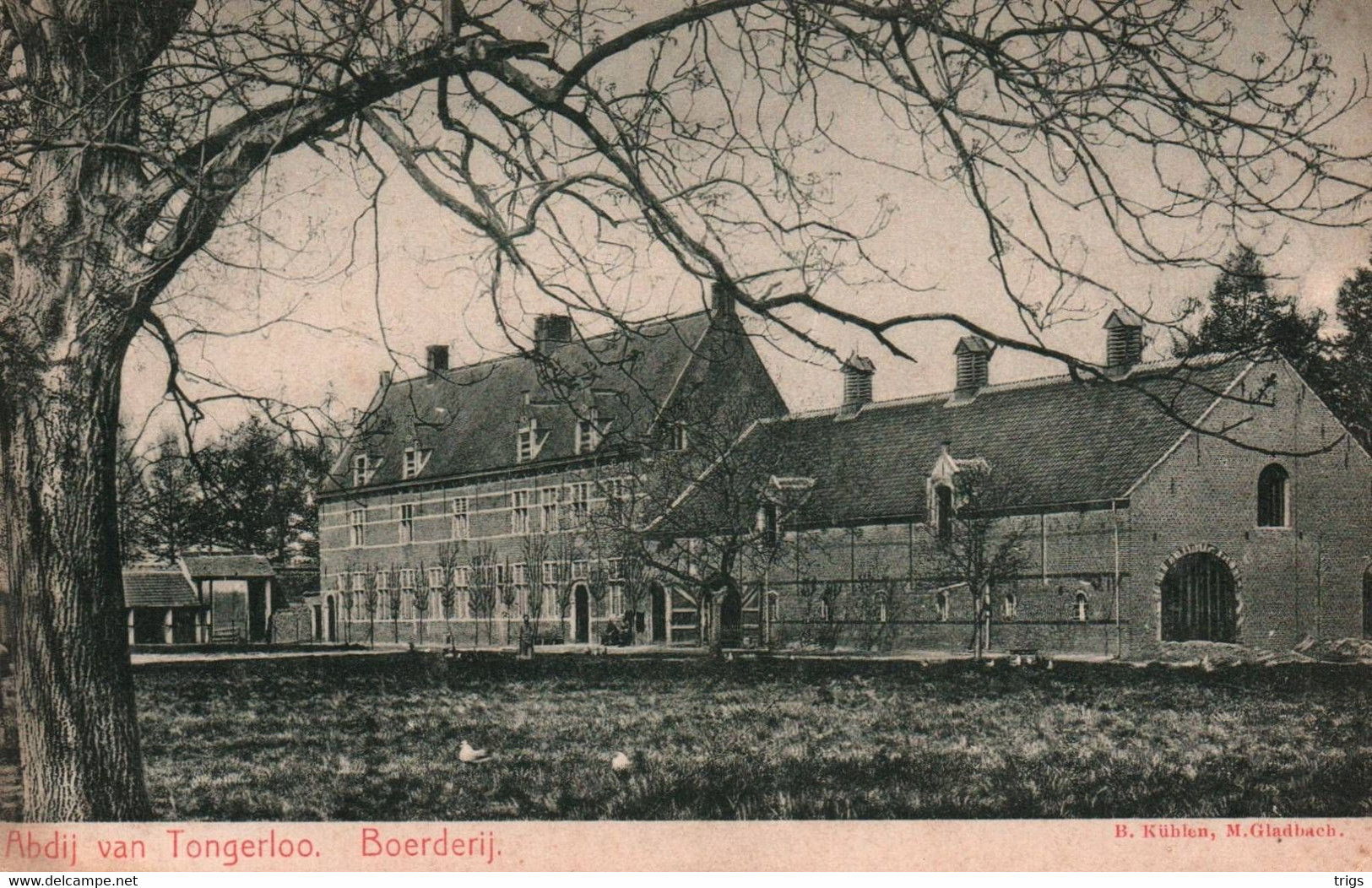 Tongerloo (Abdij) - Boerderij - Westerlo