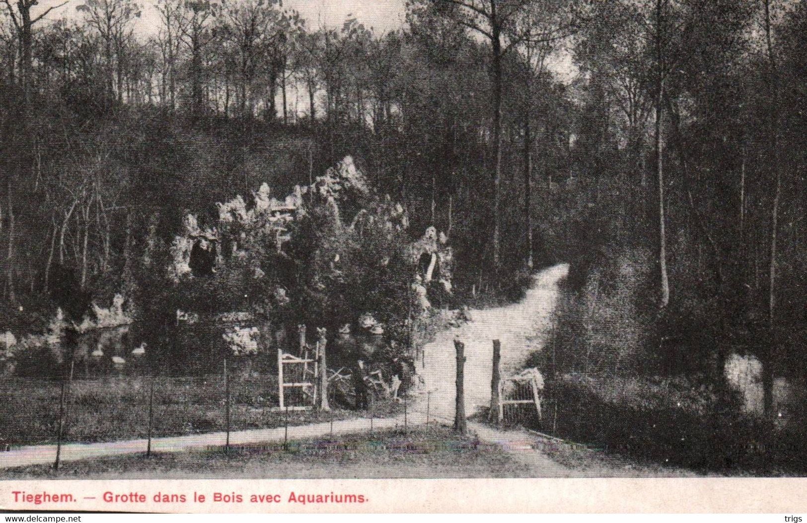 Tieghem - Grotte Dans Le Bois Avec Aquariums - Anzegem