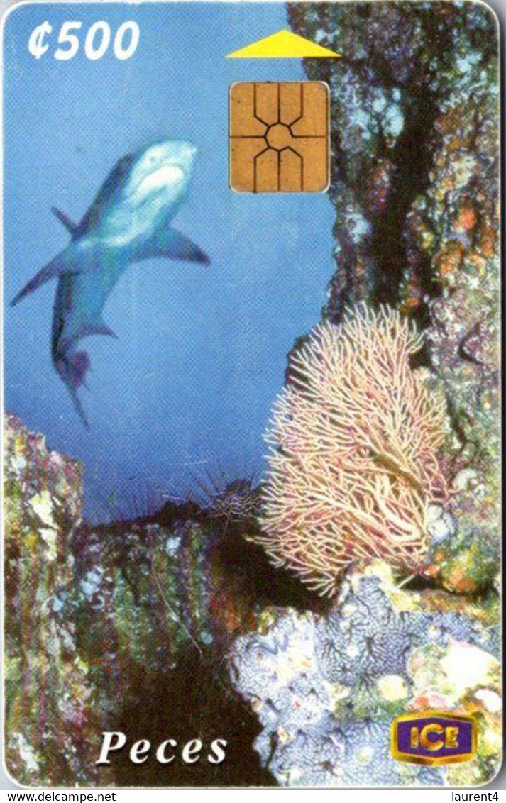 (24-6-2022 K) Phonecard -  ? - (1 Phonecard)  Ice - Shark - 500 C - Fische