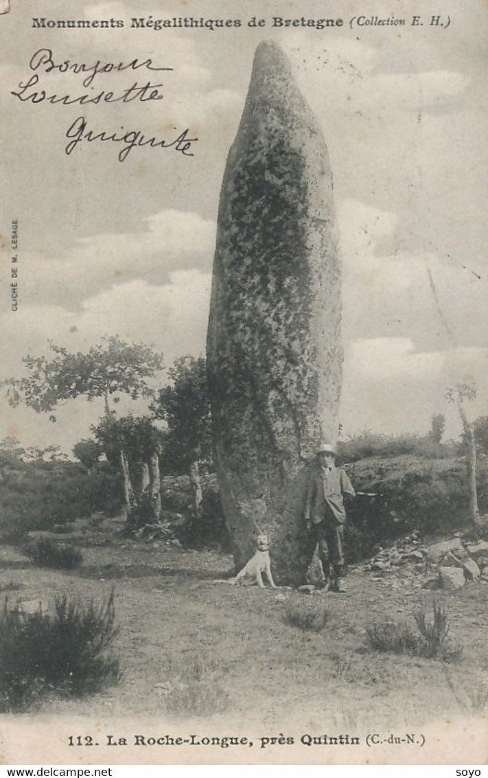 Megalithe Menhir La Roche Longue Quintin  Celte Celtique Druide - Dolmen & Menhirs