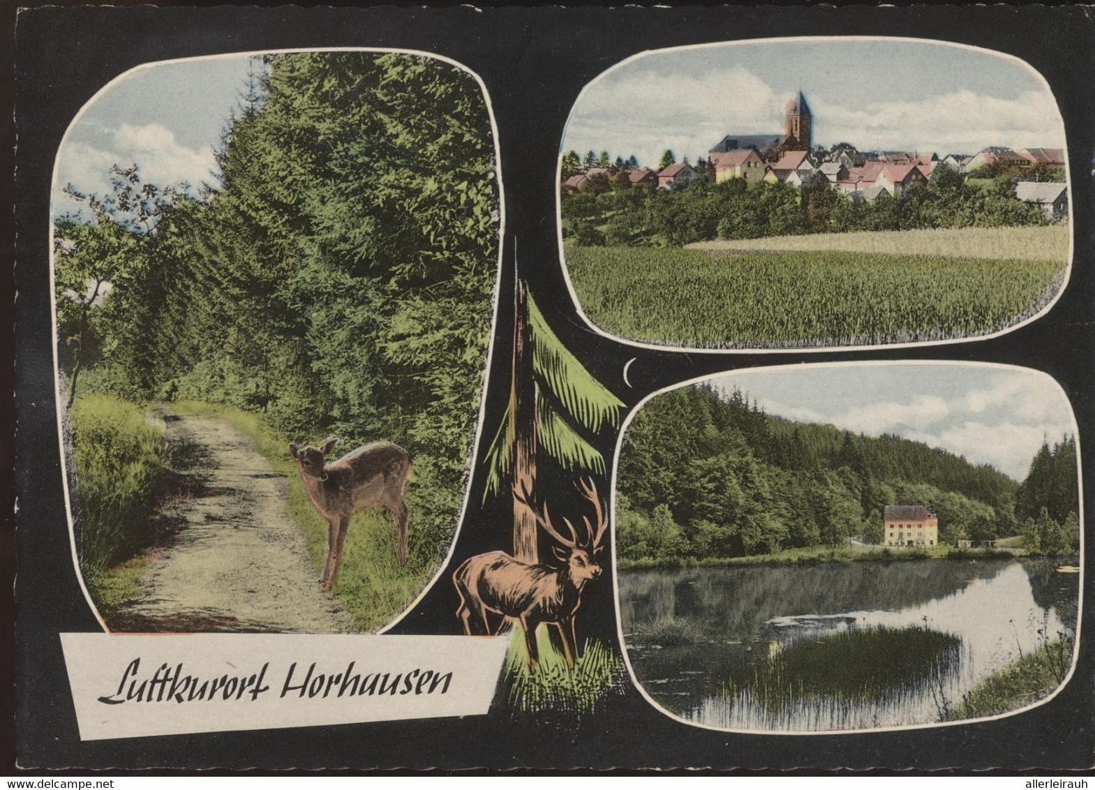 Horhausen (Westerwald)  /   1965 Gelaufen - Altenkirchen