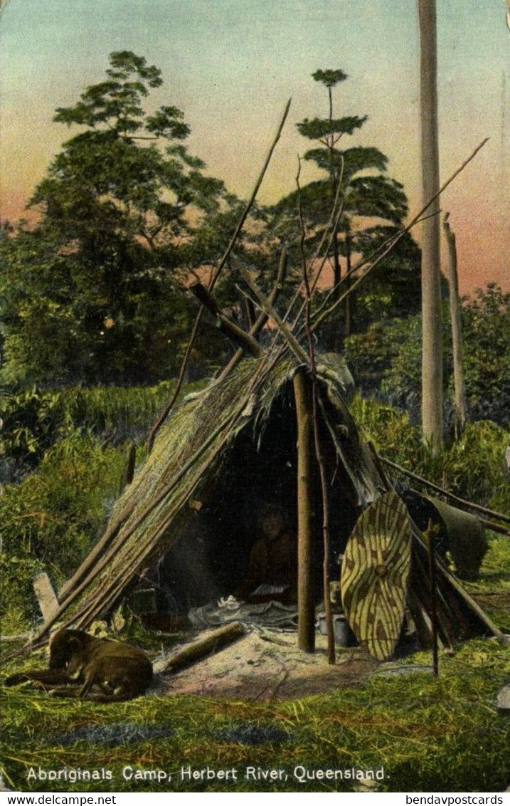 Australia, QUEENSLAND, Herbert River, Aboriginal Camp, Shield (1910s) Postcard - Aborigenes