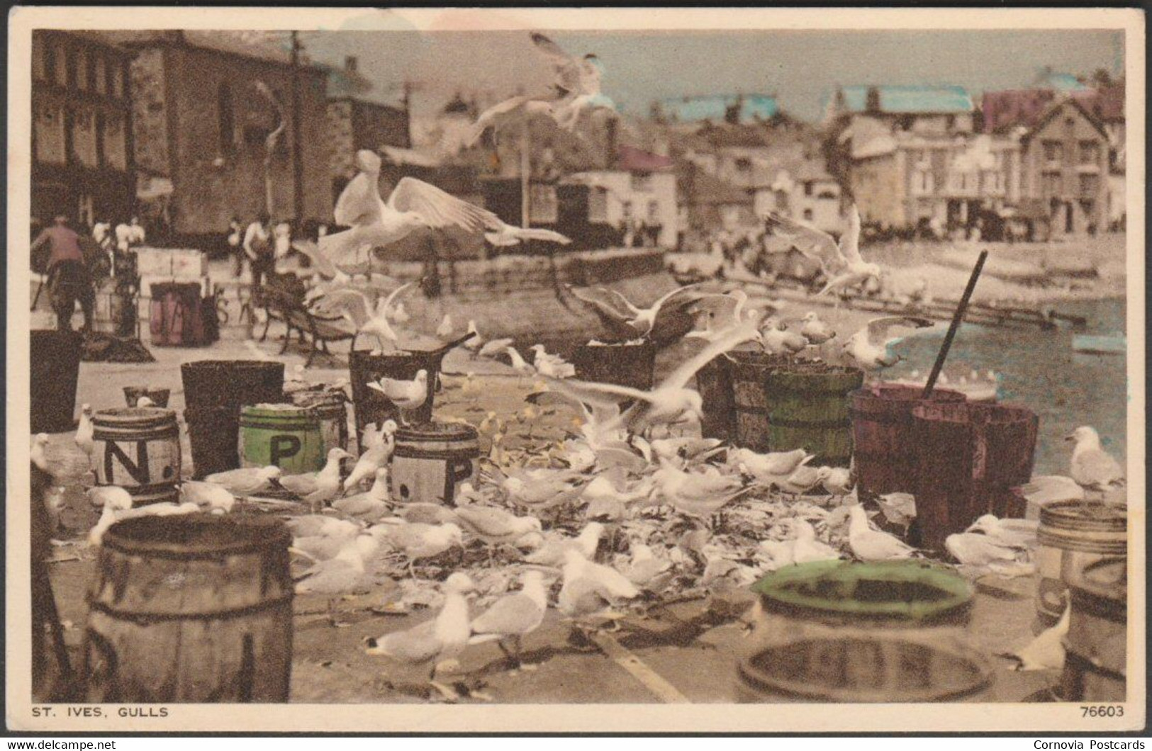 Gulls At St Ives, Cornwall, C.1930s - Photochrom Postcard - St.Ives