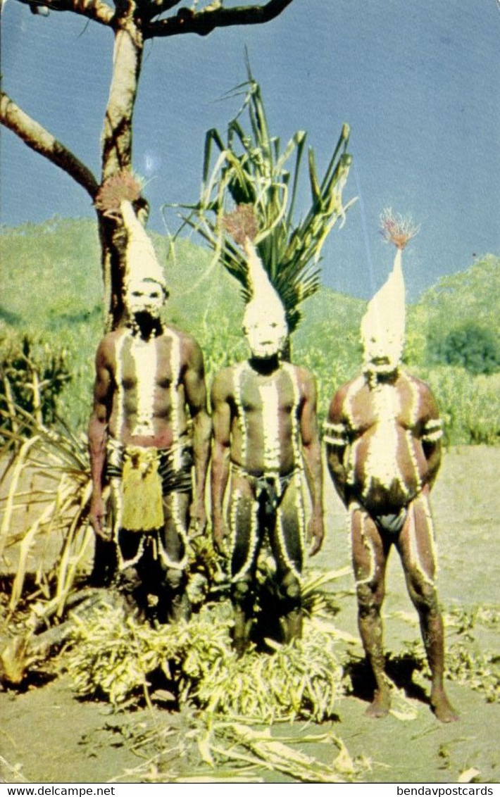 Australia, NT, Native Aboriginals Dressed For Corroboree In Arnhem Land Postcard - Aborigines