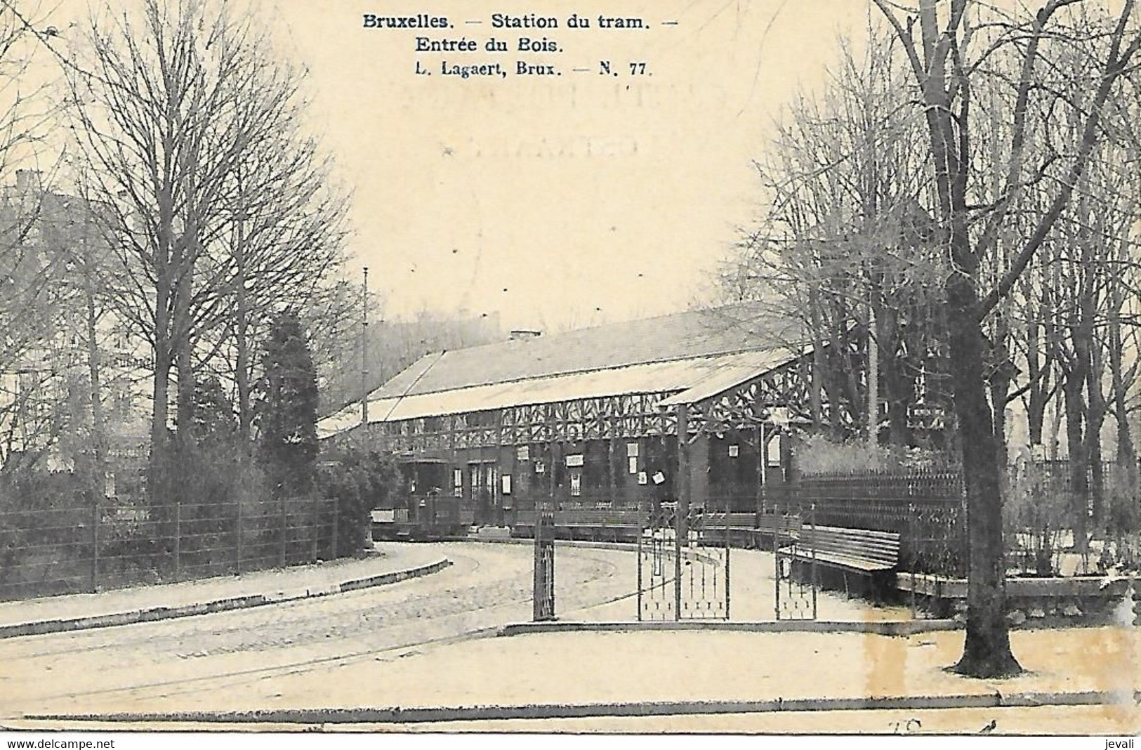 BRUXELLES    -   Station Du Tram - Entrée Du Bois - Public Transport (surface)