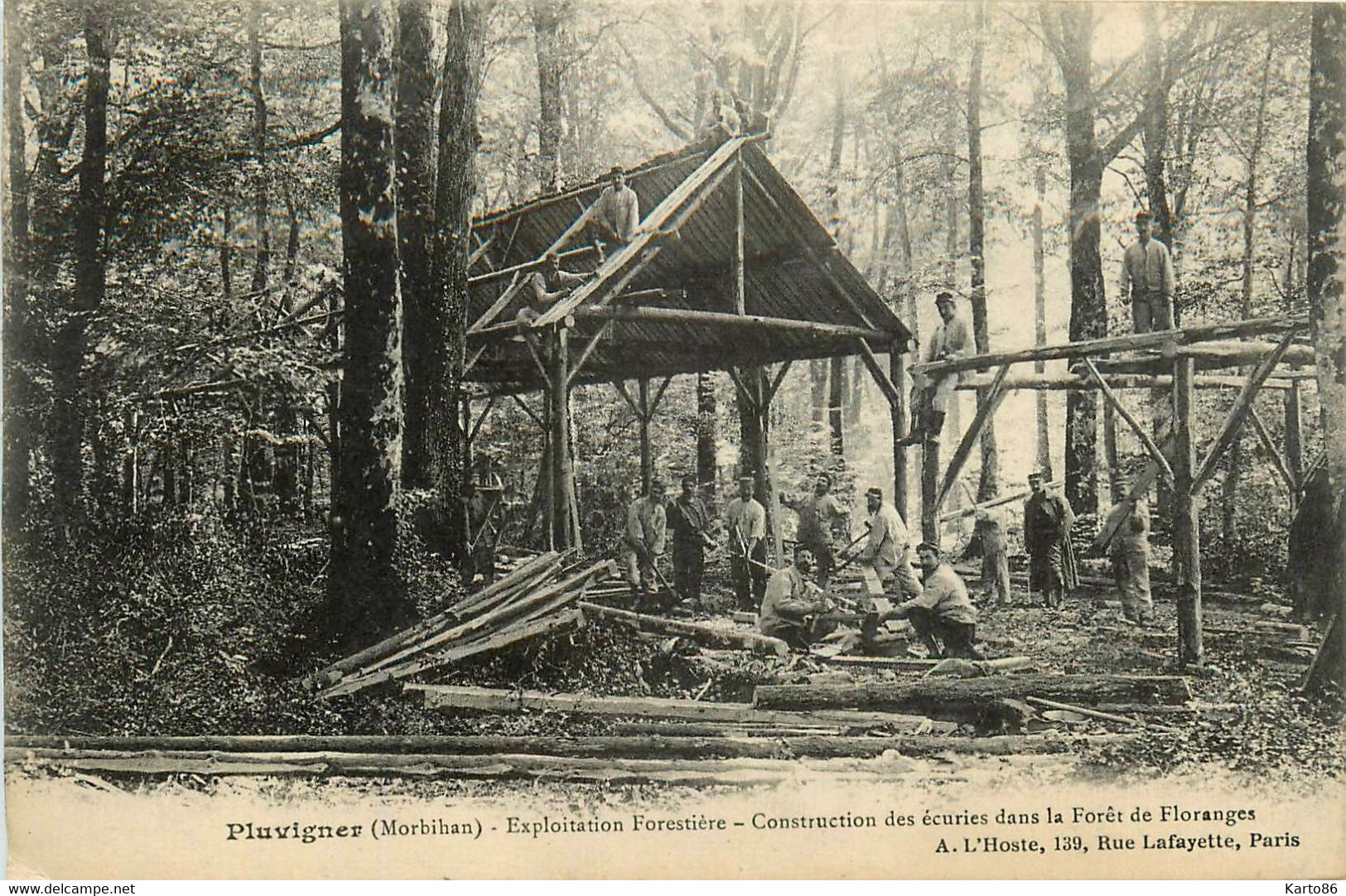 Pluvigner * Exploitation Forestière * Construction Des écuries Dans Forêt De Floranges * Bois Métier Bûcherons Scierie - Pluvigner