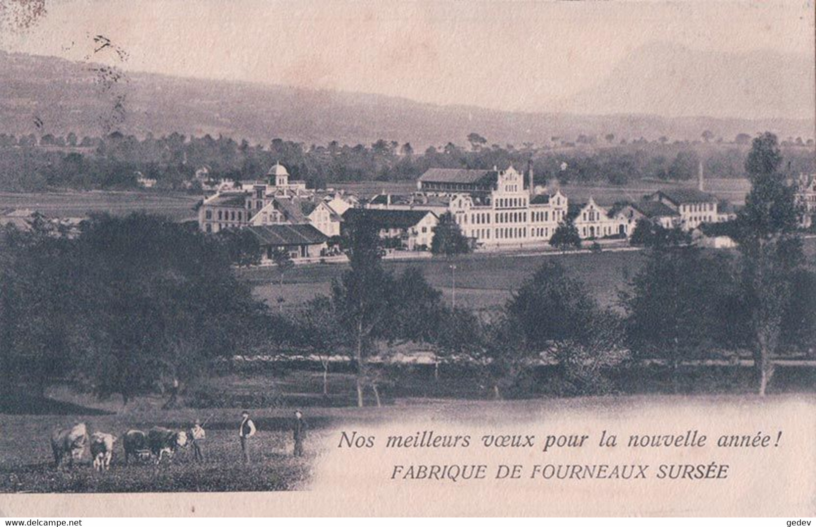 Sursee LU,  Fabrique De Fourneaux Sursee, Usine Et Troupeau De Bétail (30.12.1903) - Sursee