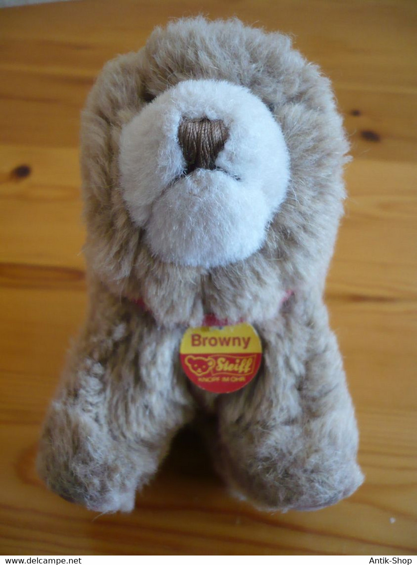 Kleiner Teddy "Browny" Von Steiff - älter (978) - Steiff