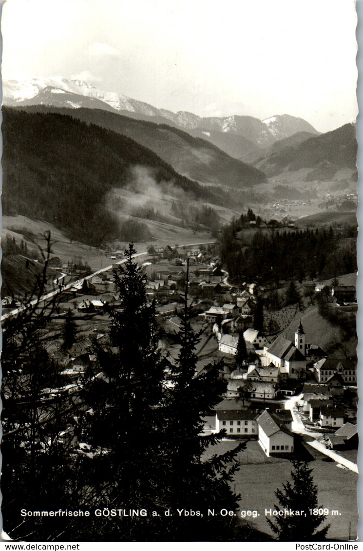 34787 - Niederösterreich - Göstling An Der Ybbs Gegen Hochkar - Gelaufen 1969 - Scheibbs