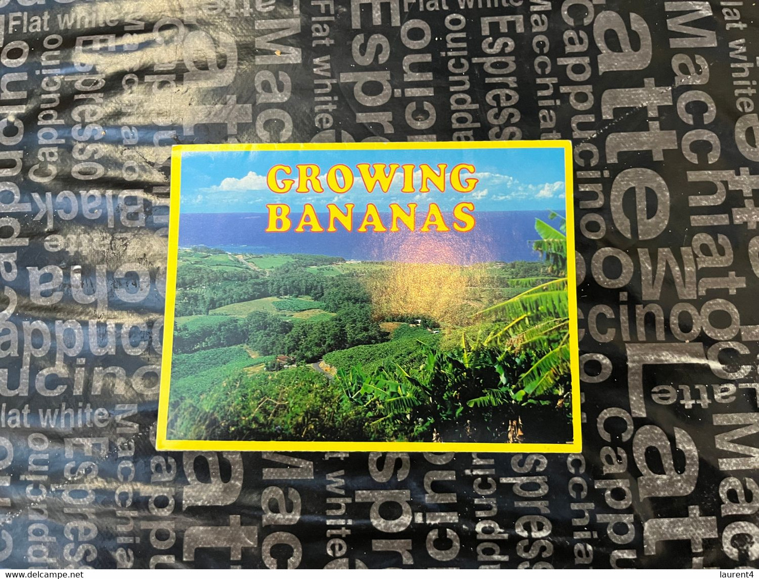 (Booklet 141 - 25-6-2022) Australia - NSW - Coff Harbour - Bananas Growing - Edited By ? - Coffs Harbour