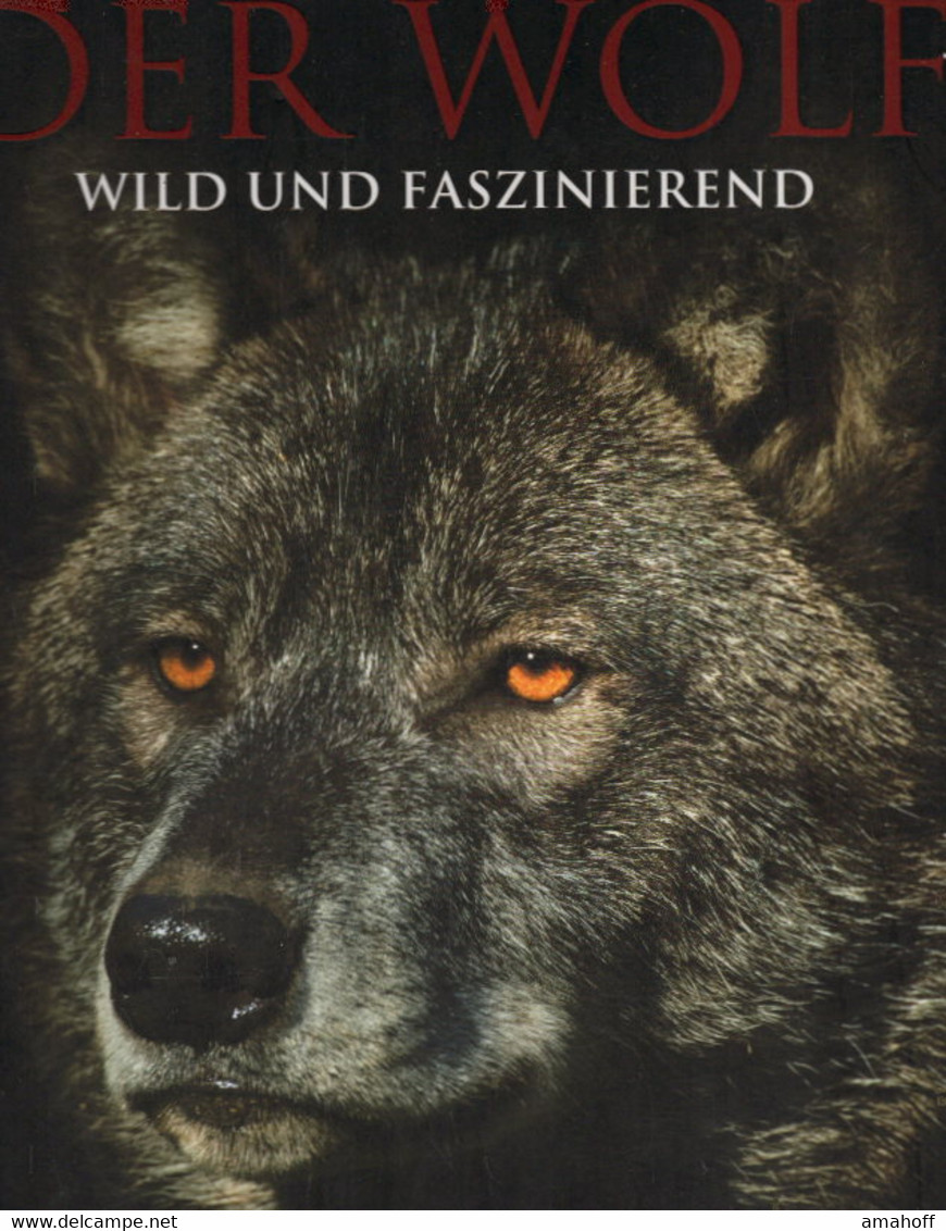 Der Wolf: Faszinierende Einblicke Und Spektakuläre Fotografien - Natura