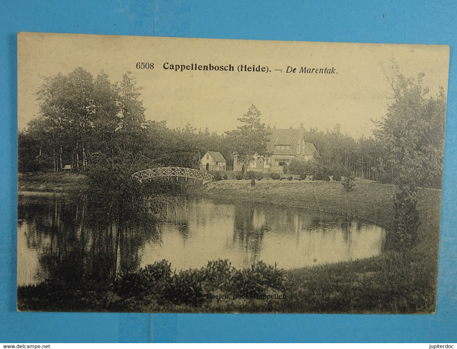 Capellenbosch (Heide) De Marentak - Kapellen