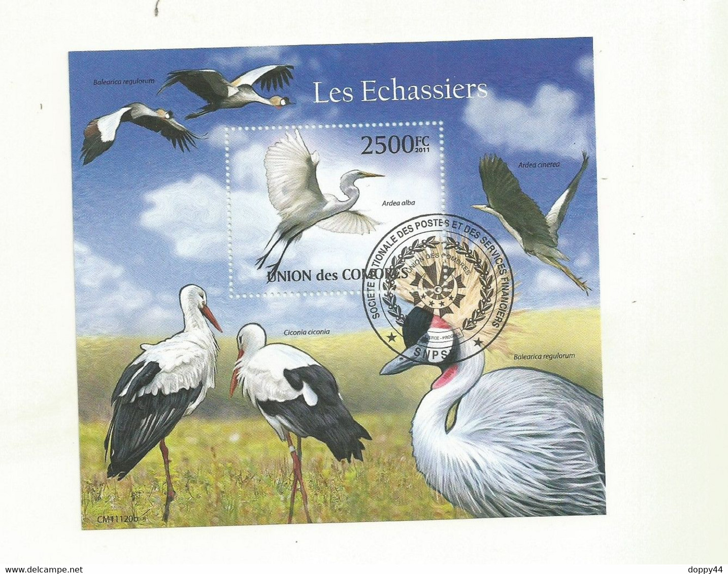 COMORES BLOC EMIS EN 2011 LES ECHASSIERS OBLITERE SUPERBE. - Storks & Long-legged Wading Birds