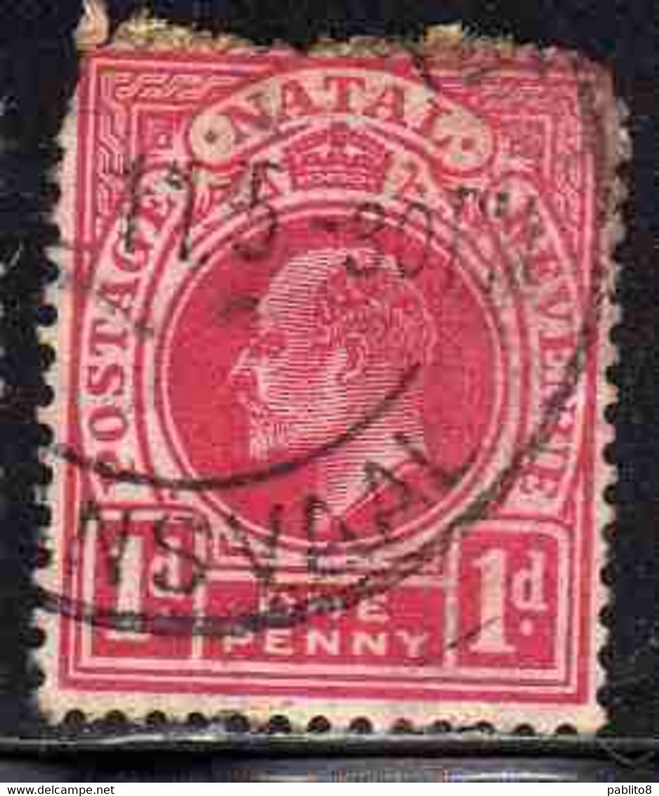 NATAL SOUTH AFRICA SUD AFRICA 1902 1903 KING EDWARD VII RE EDOARDO ONE PENNY 1p USATO USED OBLITERE' - Natal (1857-1909)