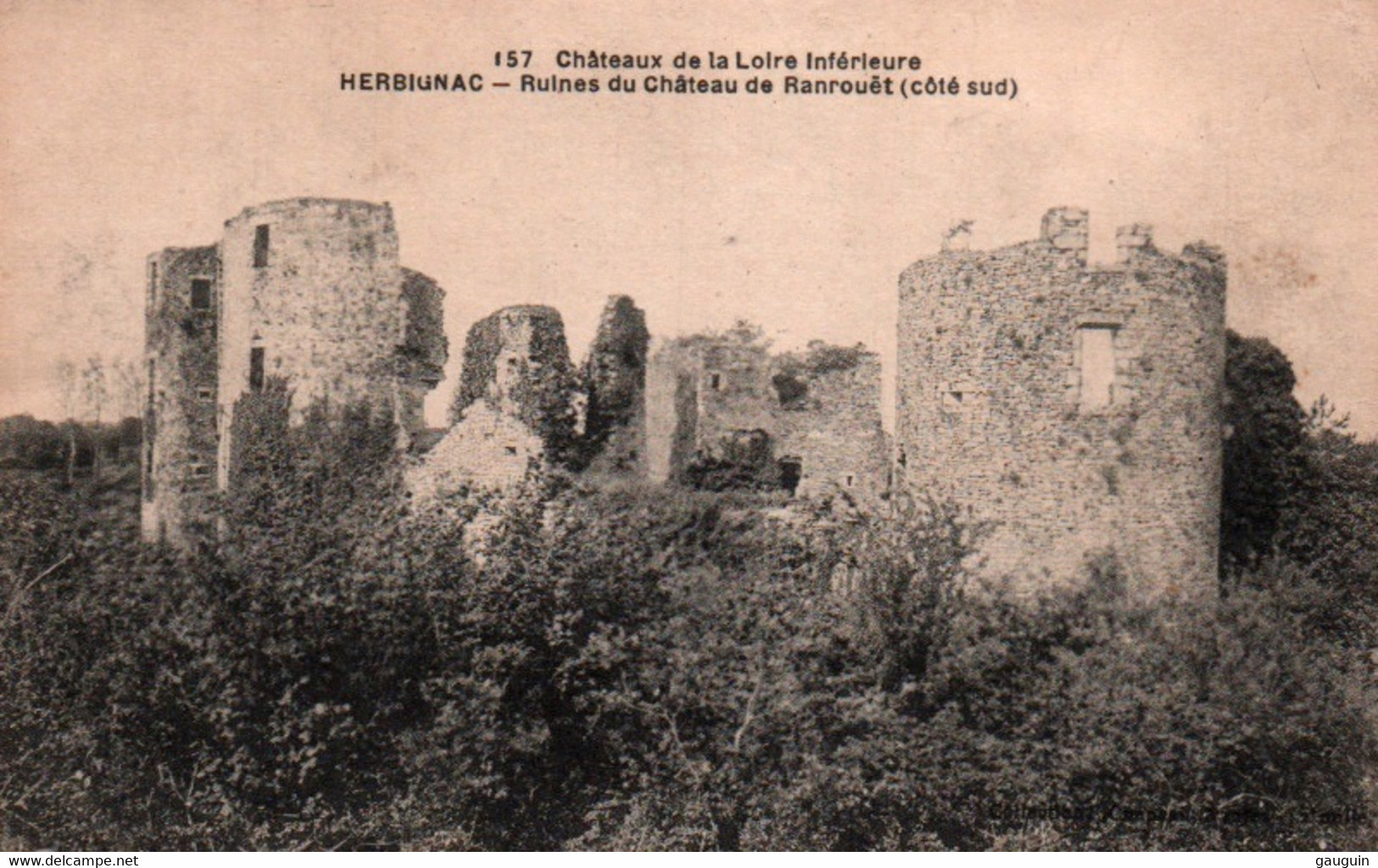 CPA - HERBIGNAC - Ruines Du Château De Ranrouët ... Edition F.Chapeau - Herbignac