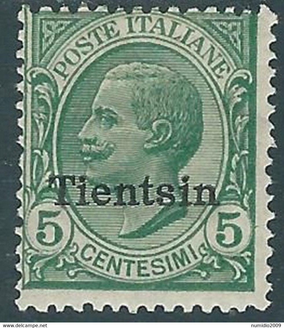 1917-18 CINA TIENTSIN EFFIGIE 5 CENT MH * - RF40-5 - Tientsin