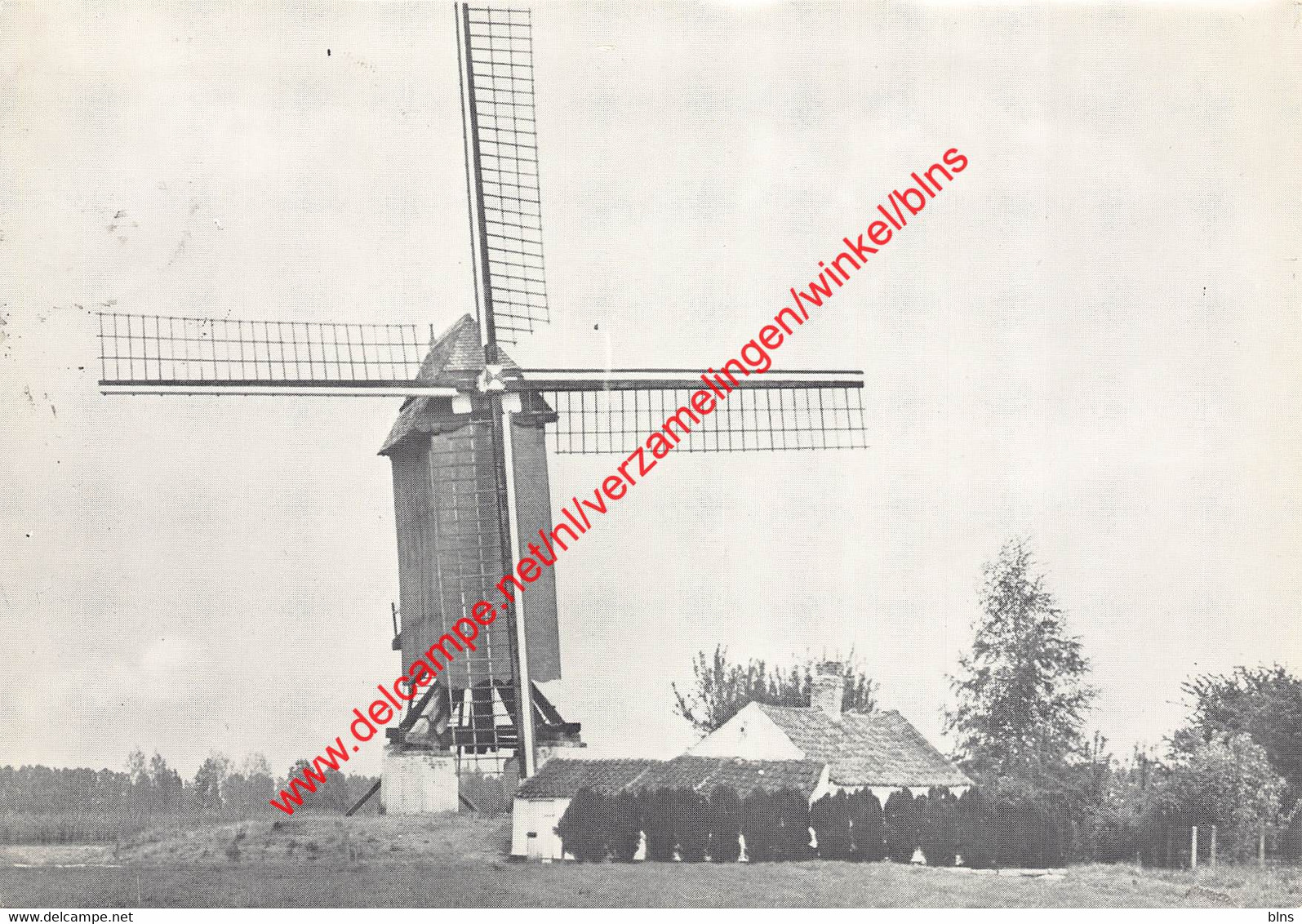 Molen 't Dal - Oudste Molen Van België - Zingem - Zingem