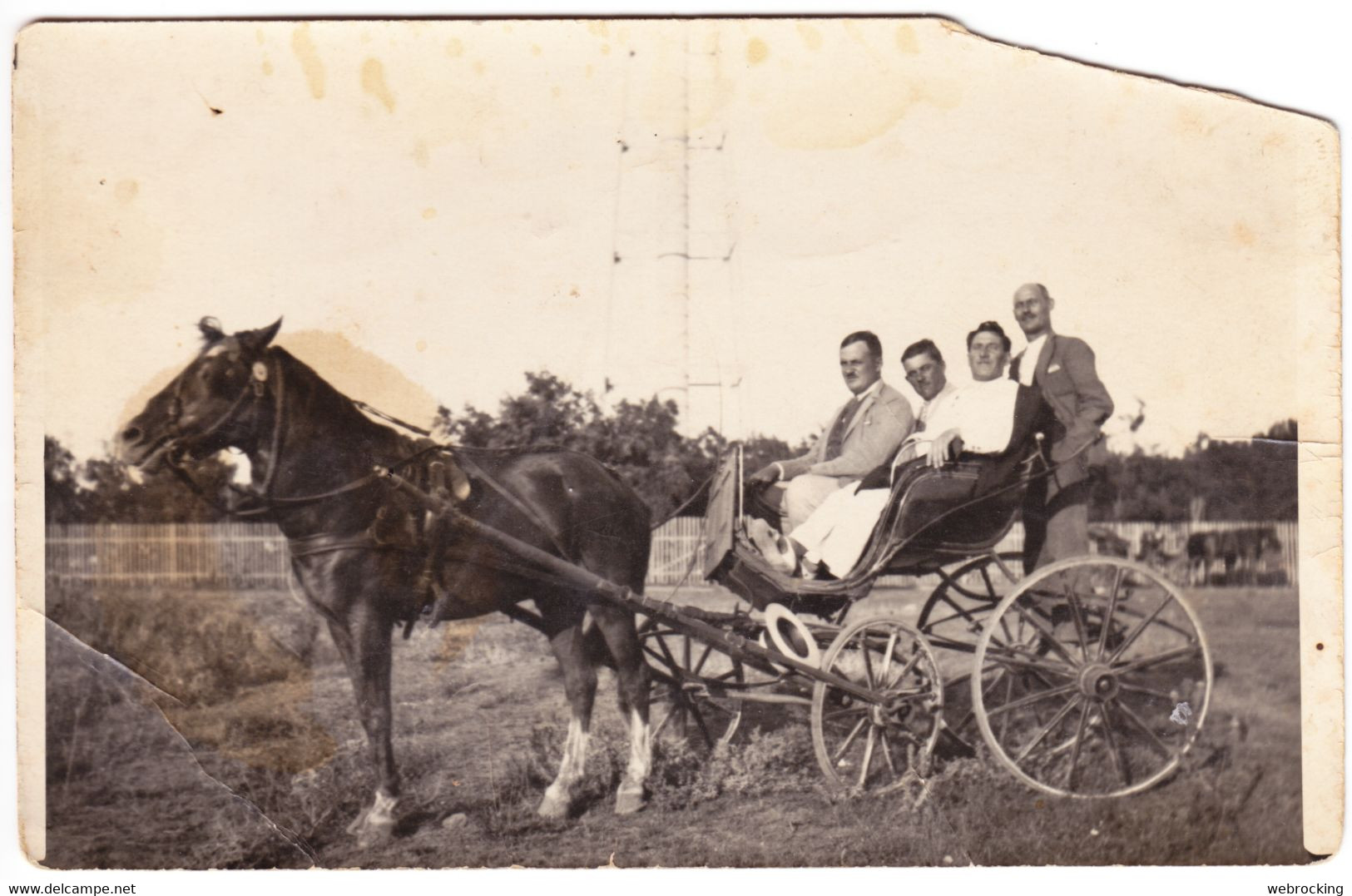 Antique Photo - PC Size - Mangalia - Romania - Friends In Horse Carriage - Old (before 1900)