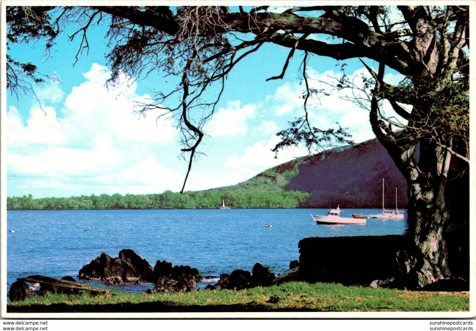 Hawaii Kona Coast Kaelakekua Bay - Big Island Of Hawaii