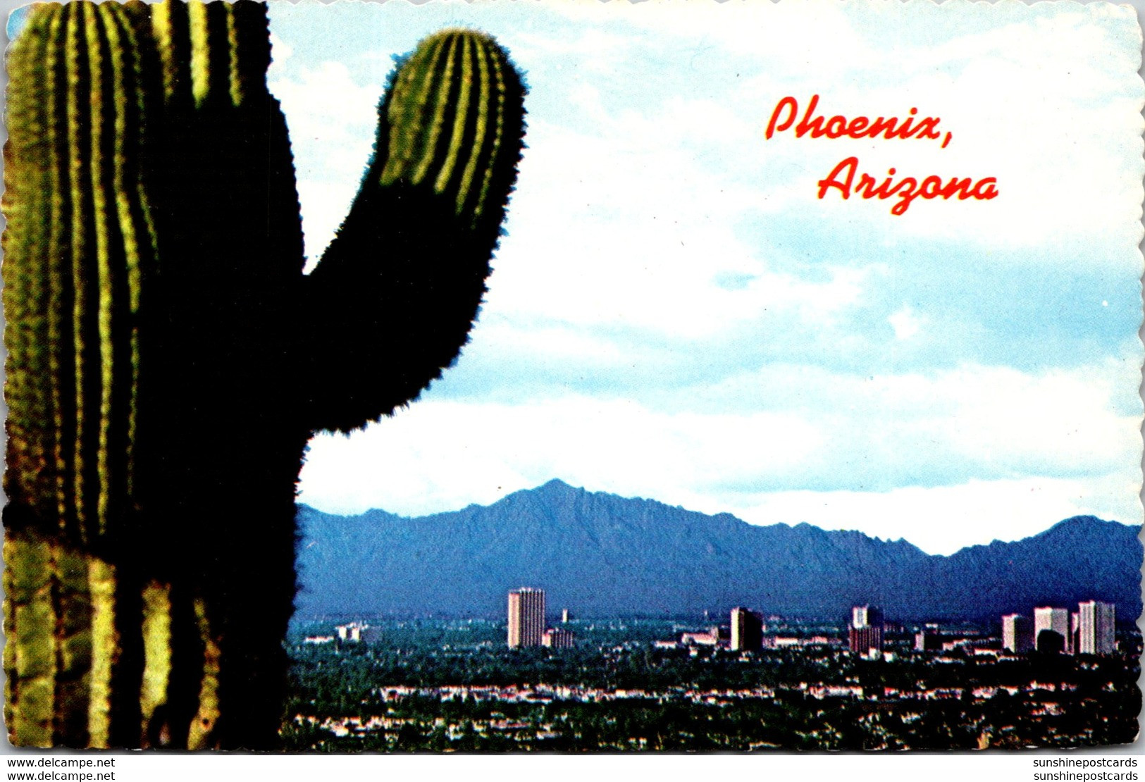 Arizona Phoenix North Central Avenue With Giant Saguaro Cactus - Phoenix
