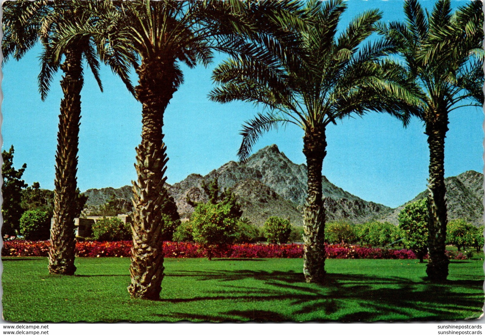 Arizona Phoenix View Of Squaw Peak - Phoenix