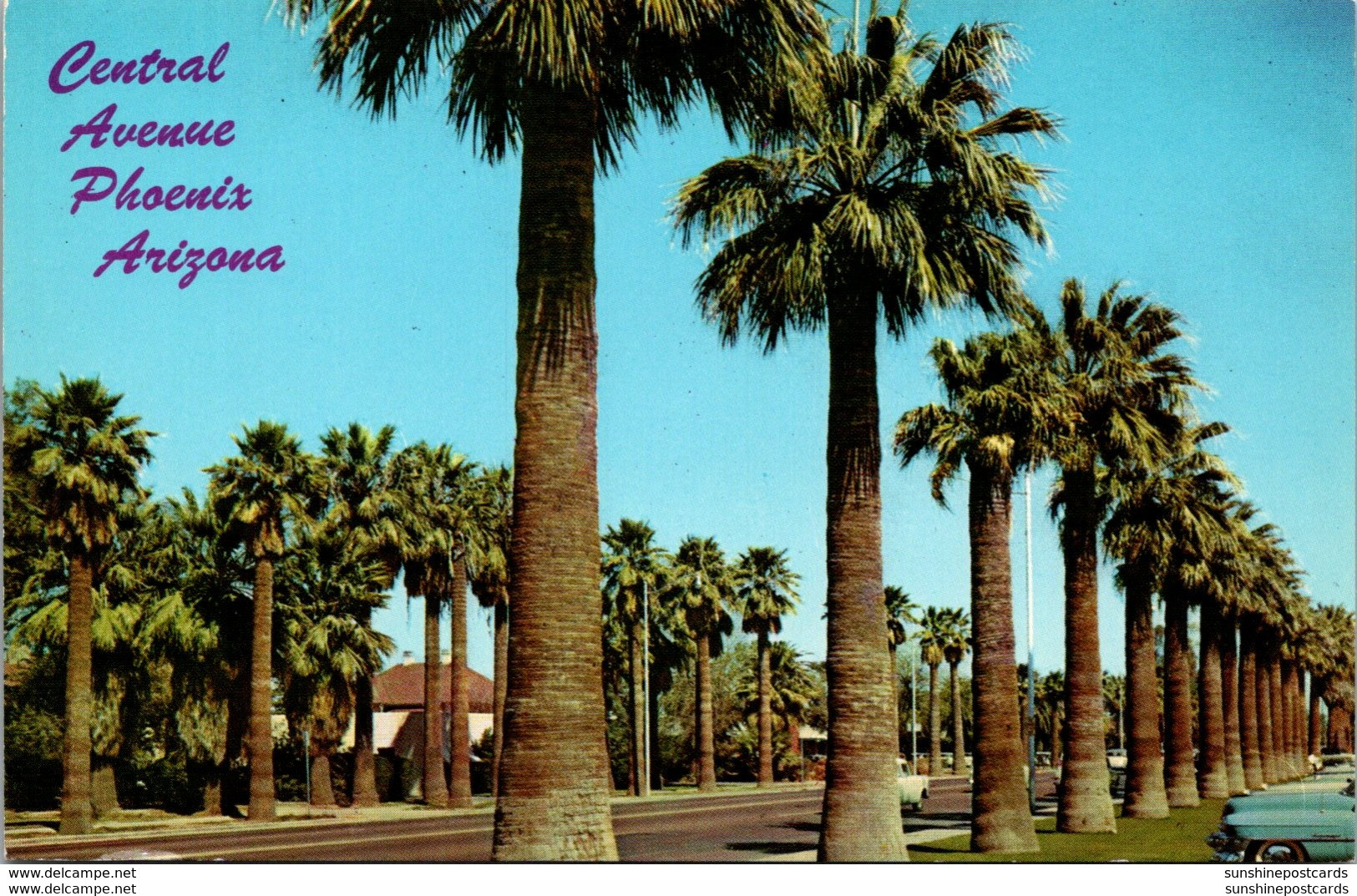 Arizona Phoenix Palm Lined Central Avenue - Phoenix