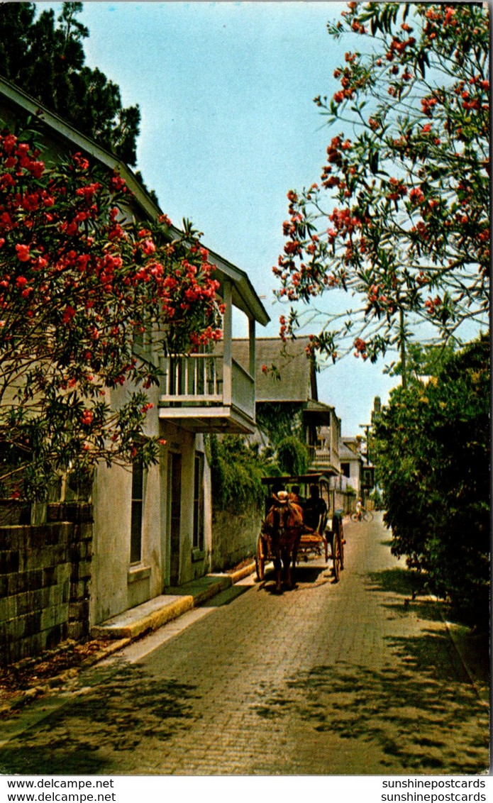 Florida St Augustine Romantic Aviles Street - St Augustine