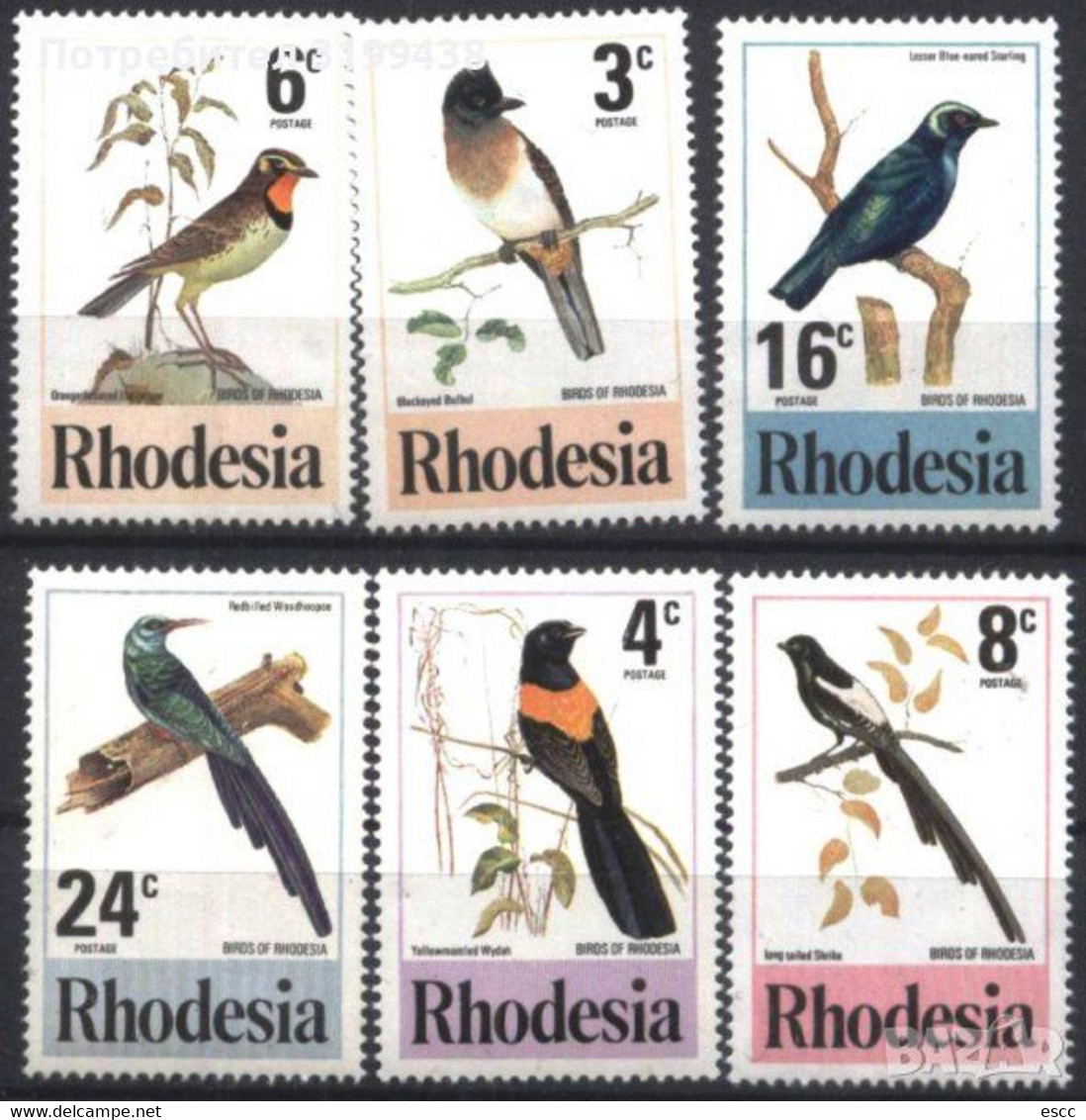 Mint Stamps Fauna Birds 1977 From Rhodesia - Songbirds & Tree Dwellers