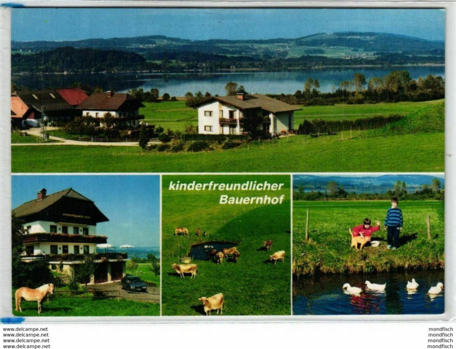 Seekirchen Am Wallersee - Haus Seeblick - Seekirchen Am Wallersee