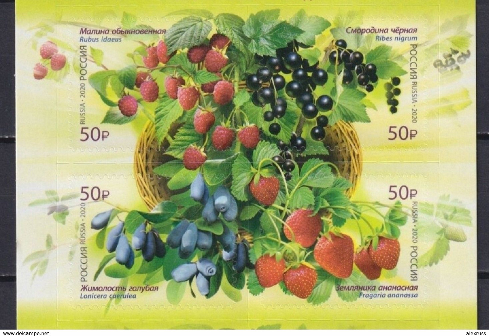 Russia 2020, Flora Of Russia, Berries, Block ,SK # 2585-2588, VF MNH** (AP-2) - Ongebruikt