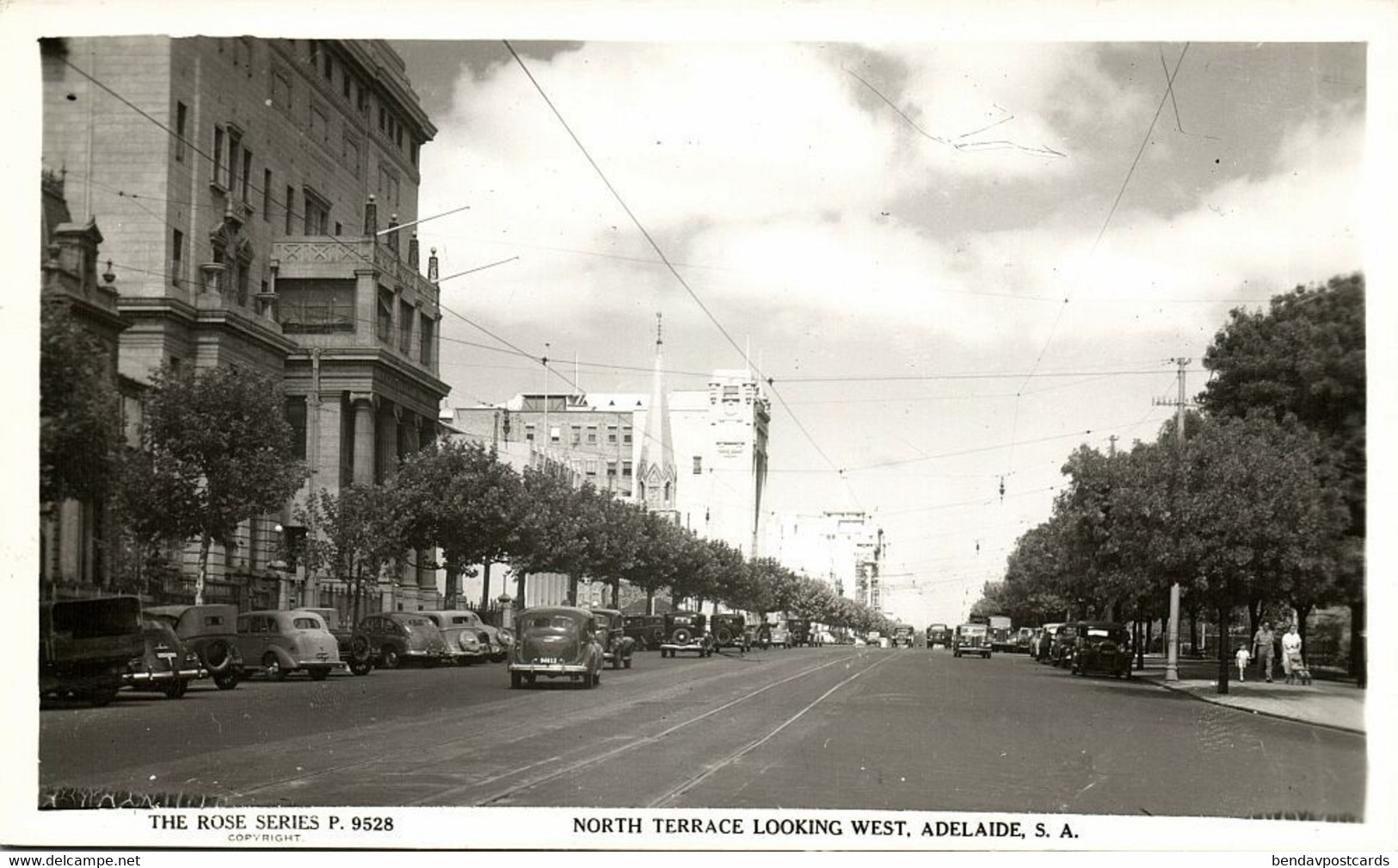 Australia, SA, ADELAIDE, North Terrace, Cars, Rose Series RPPC Postcard - Adelaide