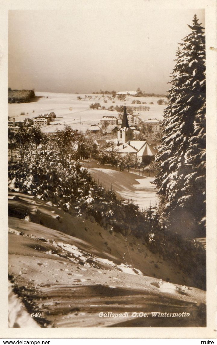 GALLSPACH O.OE. WINTERMOTIO  (CARTE PHOTO ) - Gallspach