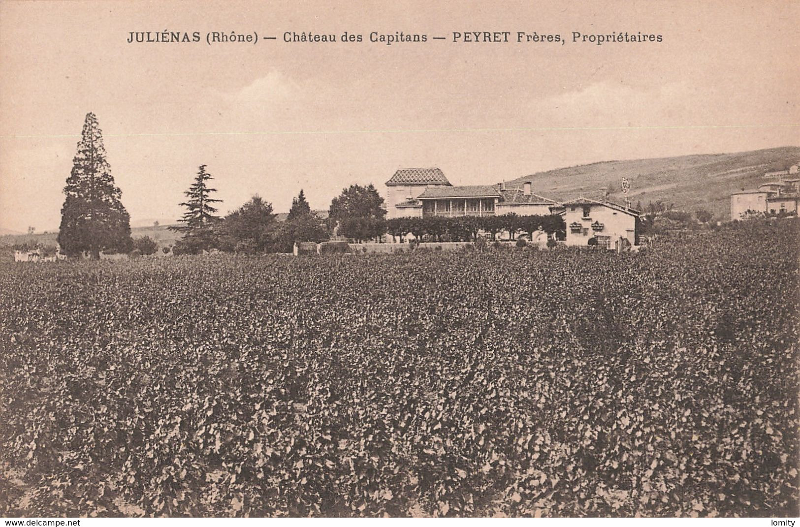 69 Julienas Chateau Des Capitans Peyret Freres Propritéaires CPA Vin Vigne Vignes Vignoble - Julienas