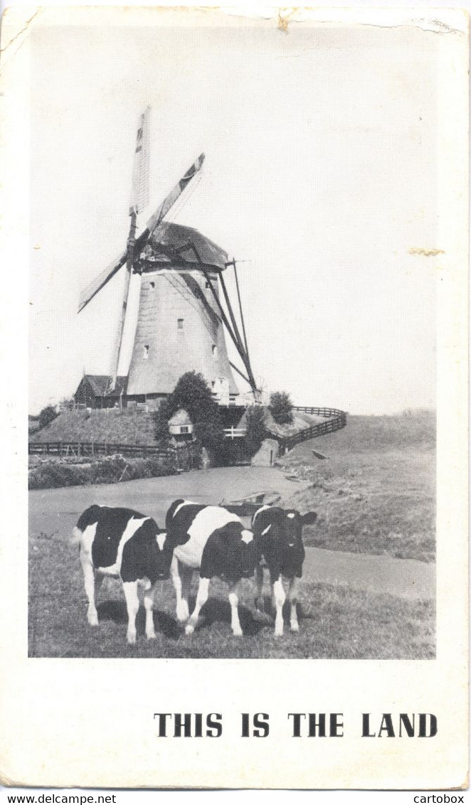 Leidschendam, This Is The Land (de Ondermolen Van De Driemanspolder Te Leidschendam / Voorburg) Molen (3 X Scan) - Leidschendam