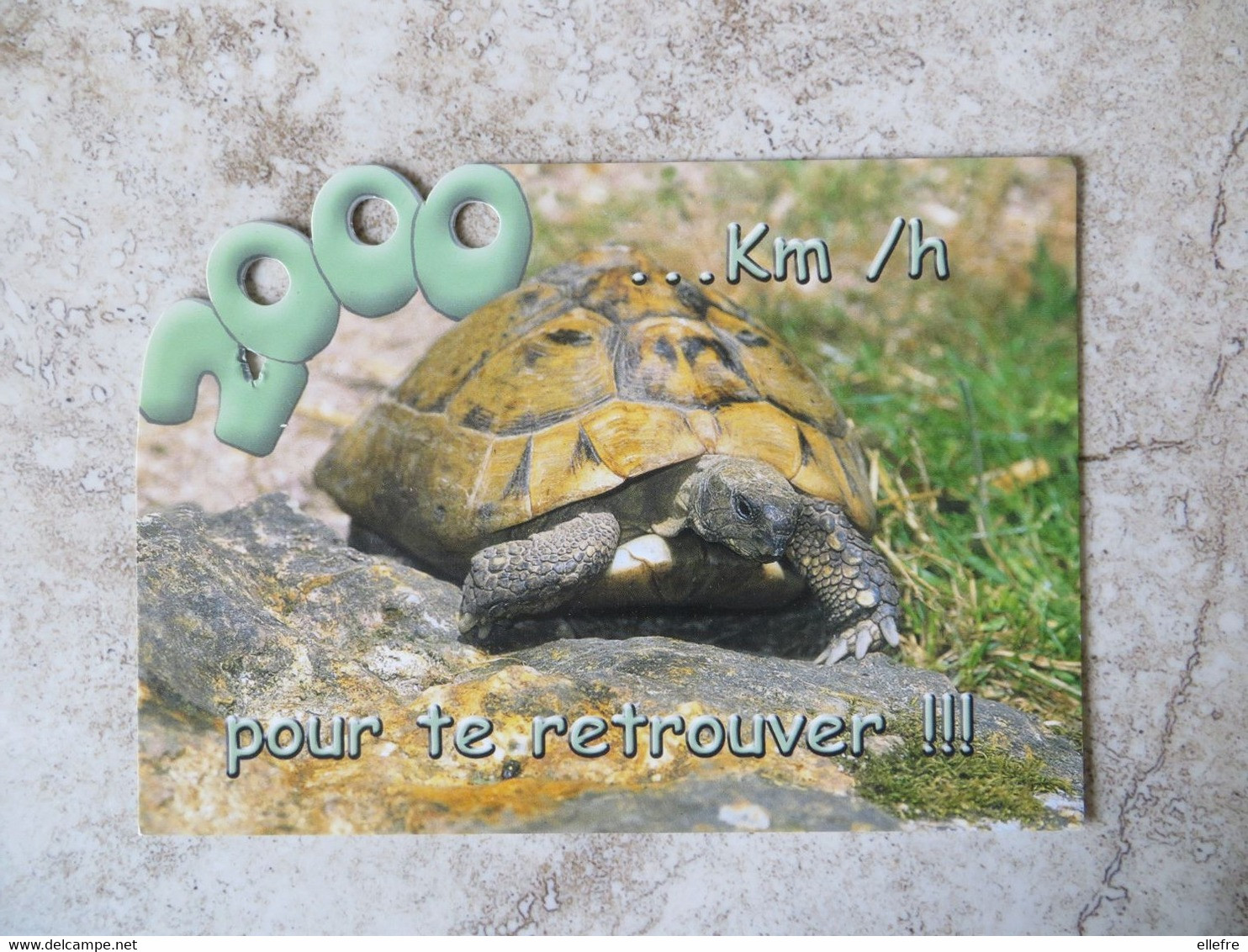 CPM TORTUE HUMOUR - 2000 Km Pour Te Retrouver - Etiquette Au Recto - Schildpadden