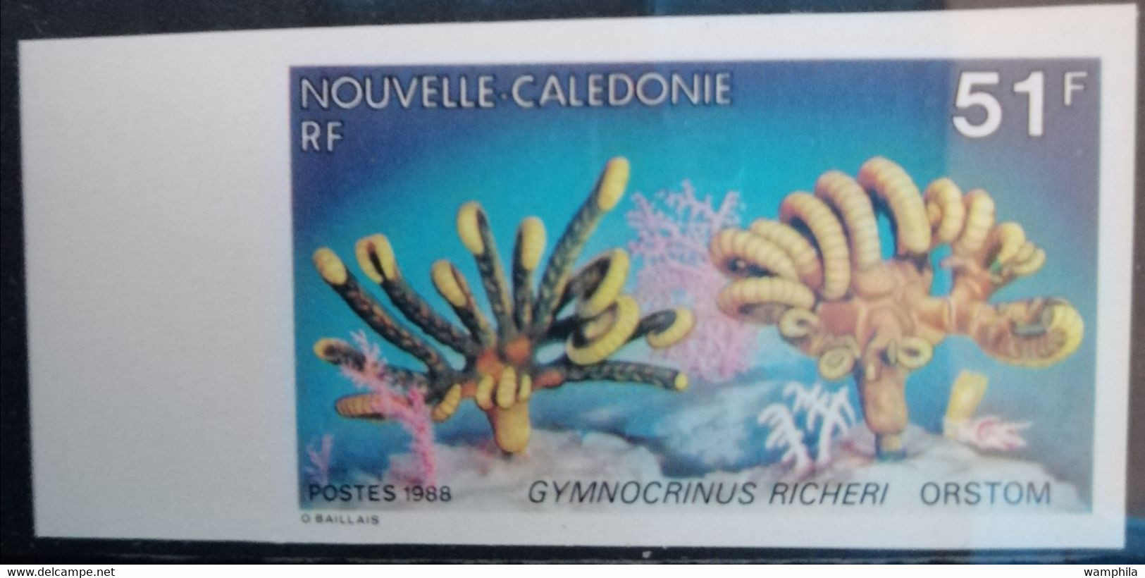 Nouvelle-Calédonie NON DENTELE N°564**. Croix-Rouge. Cote 10€ - Non Dentelés, épreuves & Variétés