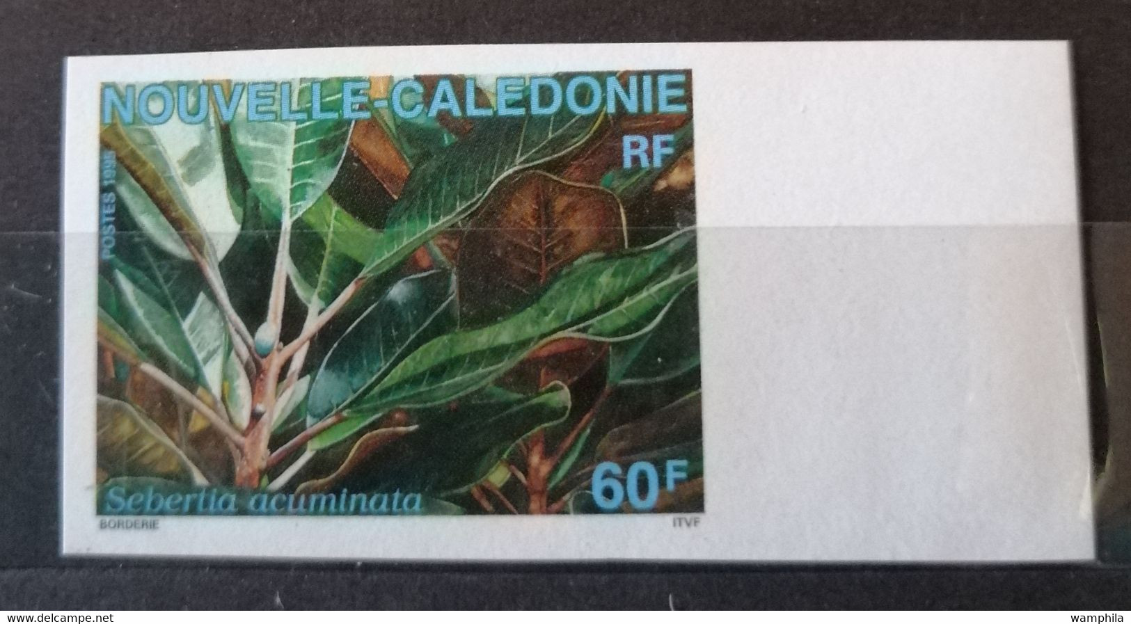 Nouvelle-Calédonie NON DENTELE N°705**. Cote 10€ - Ongetande, Proeven & Plaatfouten