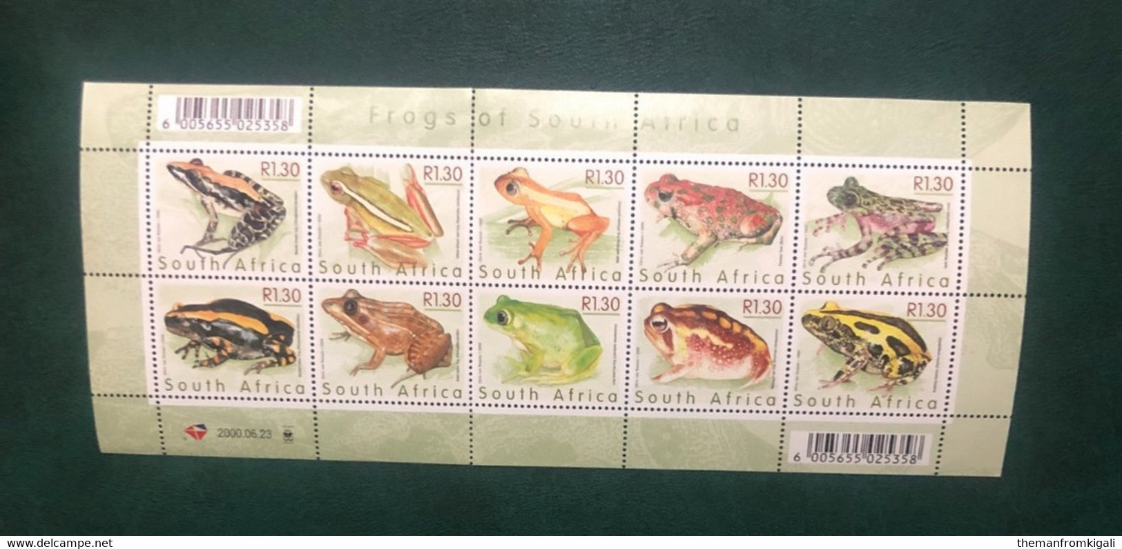 South Africa 2000 - The Frogs Of South Africa. - Ongebruikt