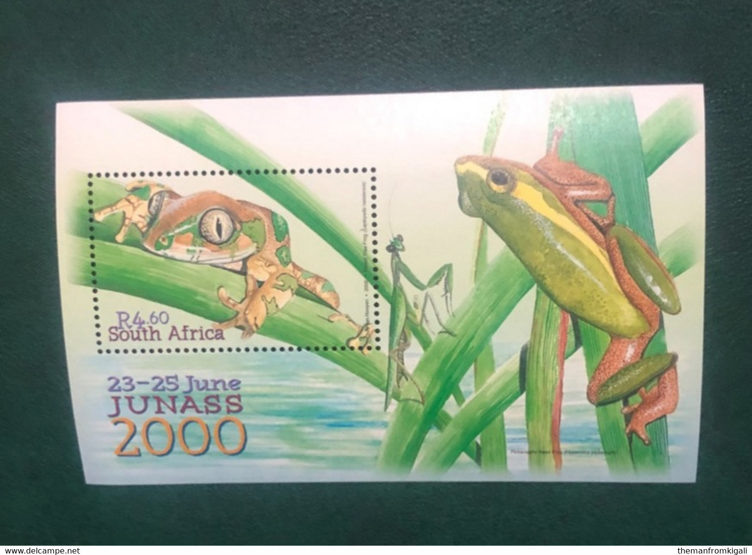 South Africa 2000 - The Frogs Of South Africa. - Neufs