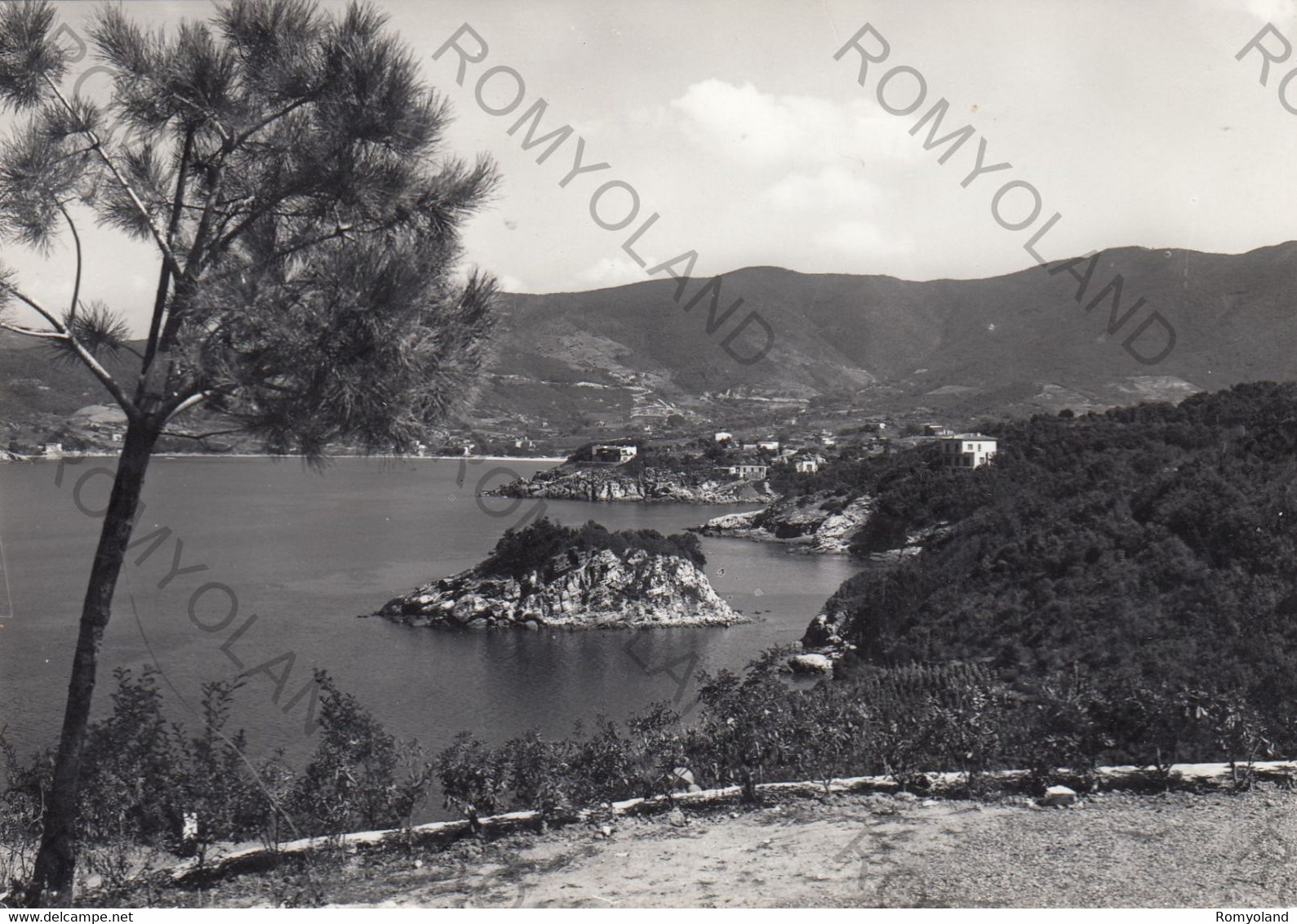 CARTOLINA  ISOLA D"ELBA-PROCCHIO,LIVORNO,TOSCANA,SCOGLIO "LA PAOLINA",MARE,SOLE,SPIAGGIA,LUNGOMARE,ESTATE,VIAGGIATA 1960 - Livorno